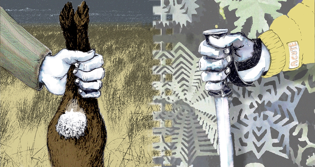 Photograph of a mixed media artwork incorporating photography, watercolour paint and ink sketching. Shown to the left is an arm outstretched, whose hand is gripping an animal by its legs. The animal is upside-down and has brown fur and a white, round fluffy tail. The background is a field with grass. Shown to the right is the right arm of a skier whose hand is gripping a skiing pole. The skier is wearing a yellow skiing jacket with logo on the arm that reads 'ACUTE'. There are abstract snowflakes of different shapes and colours in the background. 
