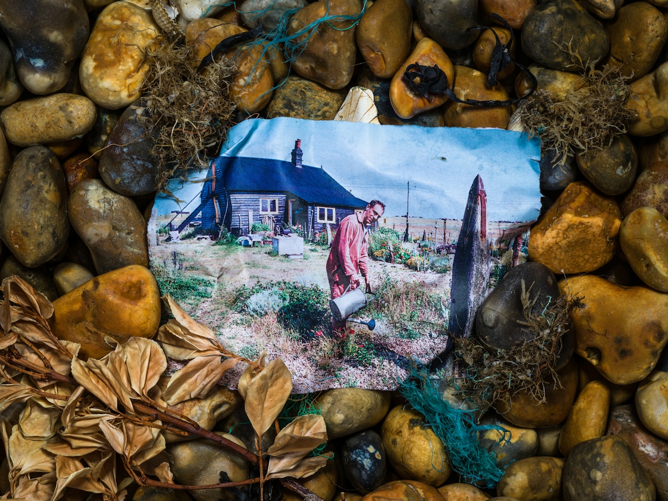 Photograph of a shingle beach made up of pebbles of all different sizes and shapes with a mix of brown and yellow hues. Nestled in the pebbles is a colour photographic print, soaked in sea water such that it has taken on the shape of the stones beneath. The print show Derek Jarman standing in the garden of his Dungeness cottage, in the process of watering his plants with a galvanised watering can. He is looking up smiling to camera. Surrounding the print on the stones are sea shells, sprigs of beachfront vegetation and the frayed blue nylon threads of fishing nets.