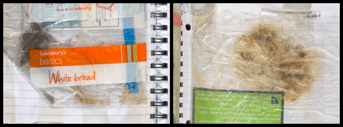 Photographic diptych. The image on the left shows a close-up detail of a lined scrapbook page, including the spiral binding. Stuck to the page with long strips of Sellotape is an empty white bread bag. Empty except for a collection of dried out breadcrumbs and an area of black, mouldy food residues. The image on the right shows another section of scrapbook page also covered in a plastic see through food packet. Inside this packet there is also mouldy food residues, trapped inside.