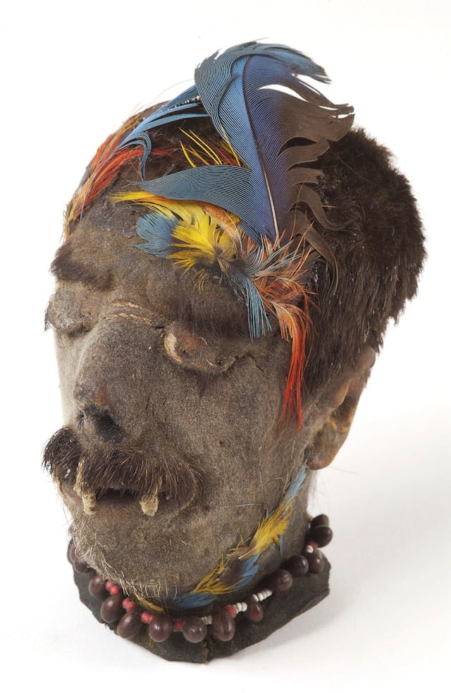 Photo of a shrunken head from Ecuador with a stitched mouth and feather headdress