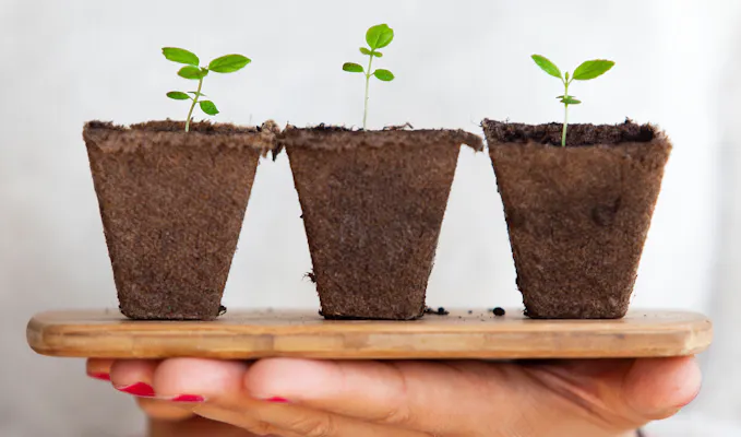 About Us Well Pharmacy