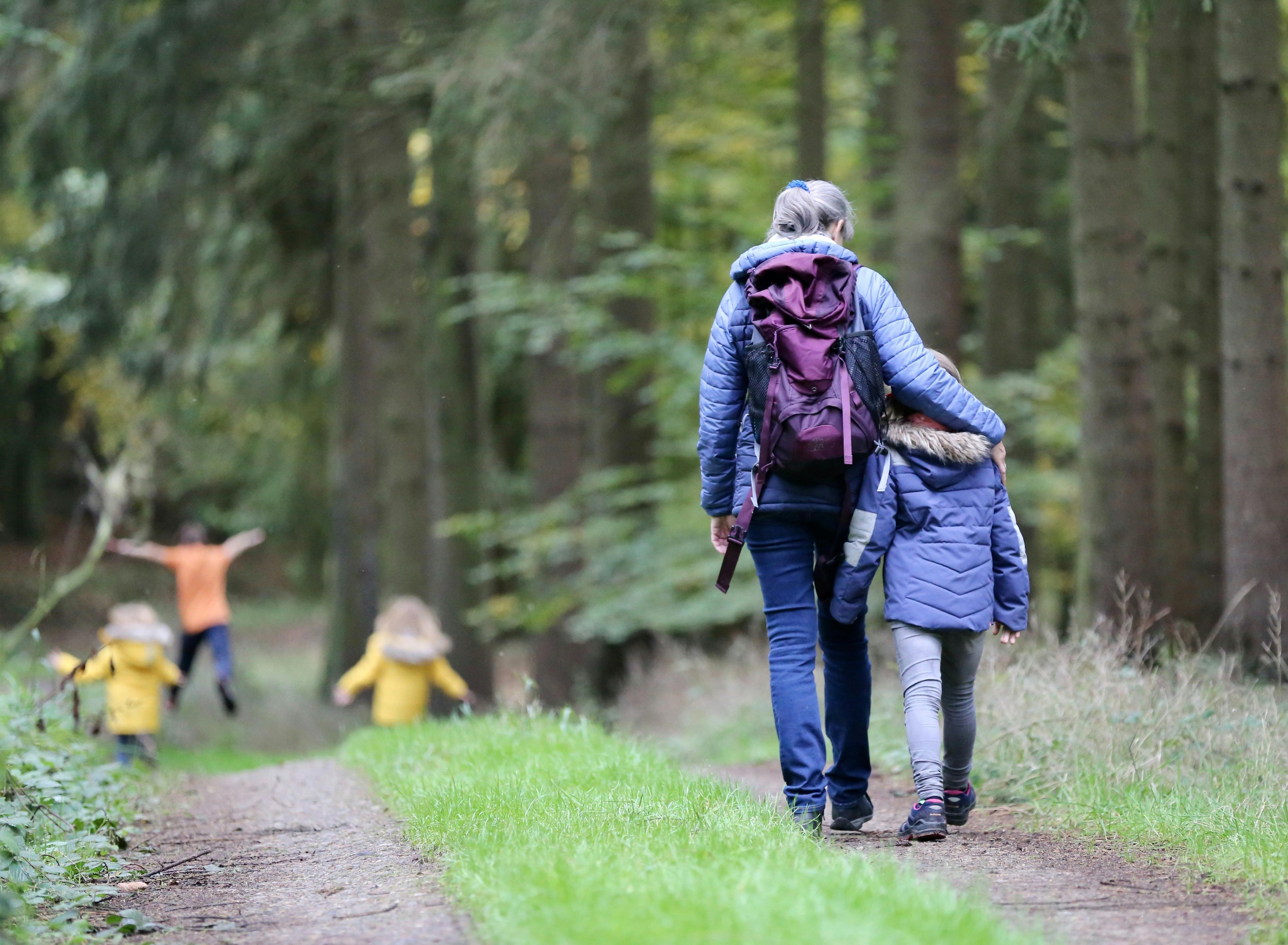 An adult and child hiking in a forest.