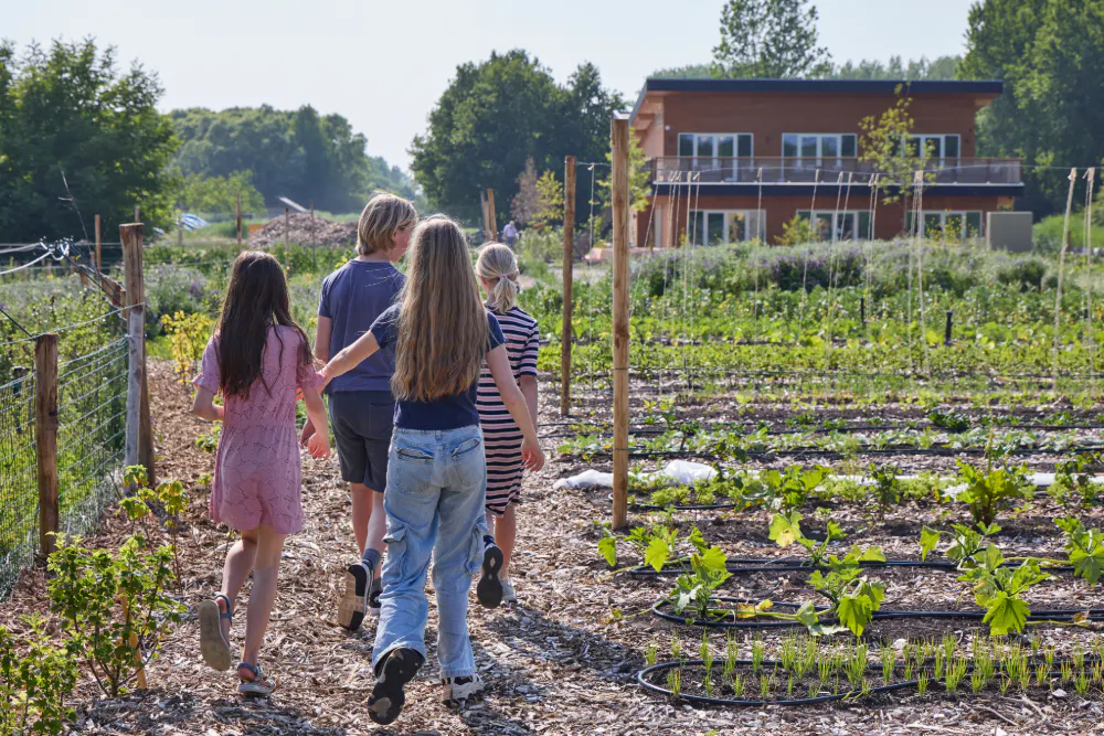 Moestuin 4 kids