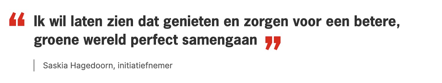 Citaat