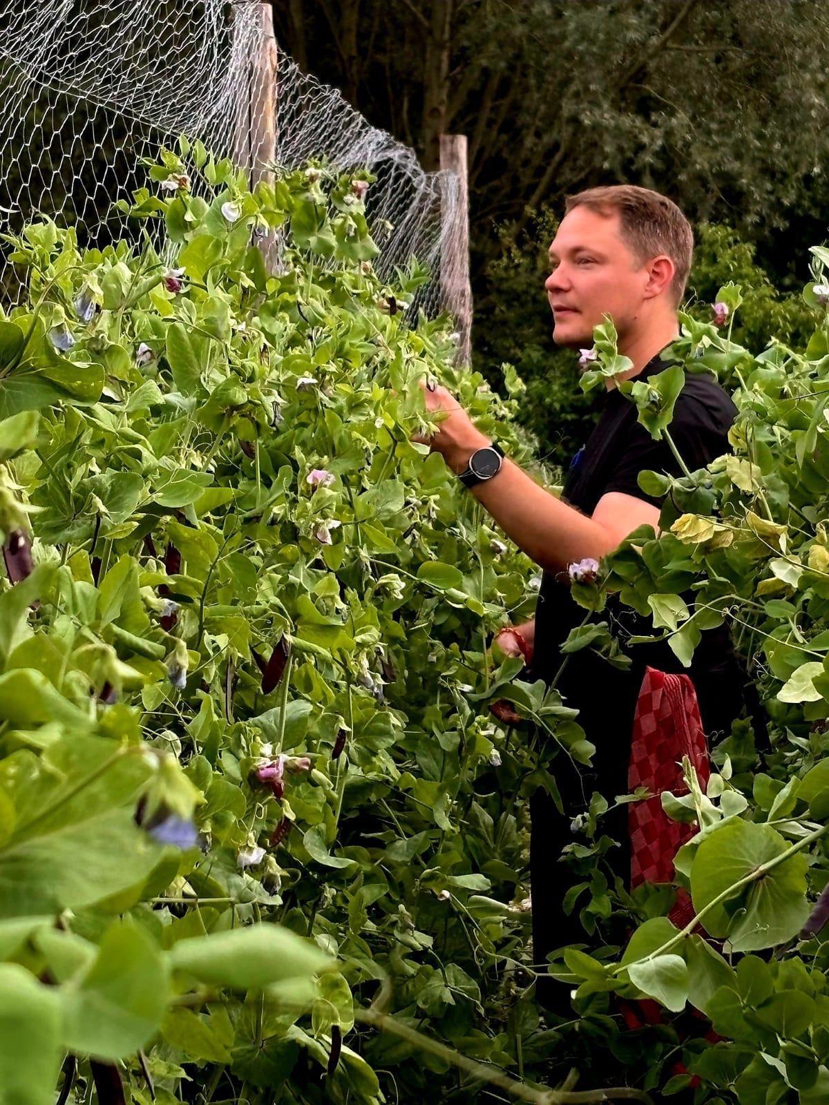 Nick in moestuin