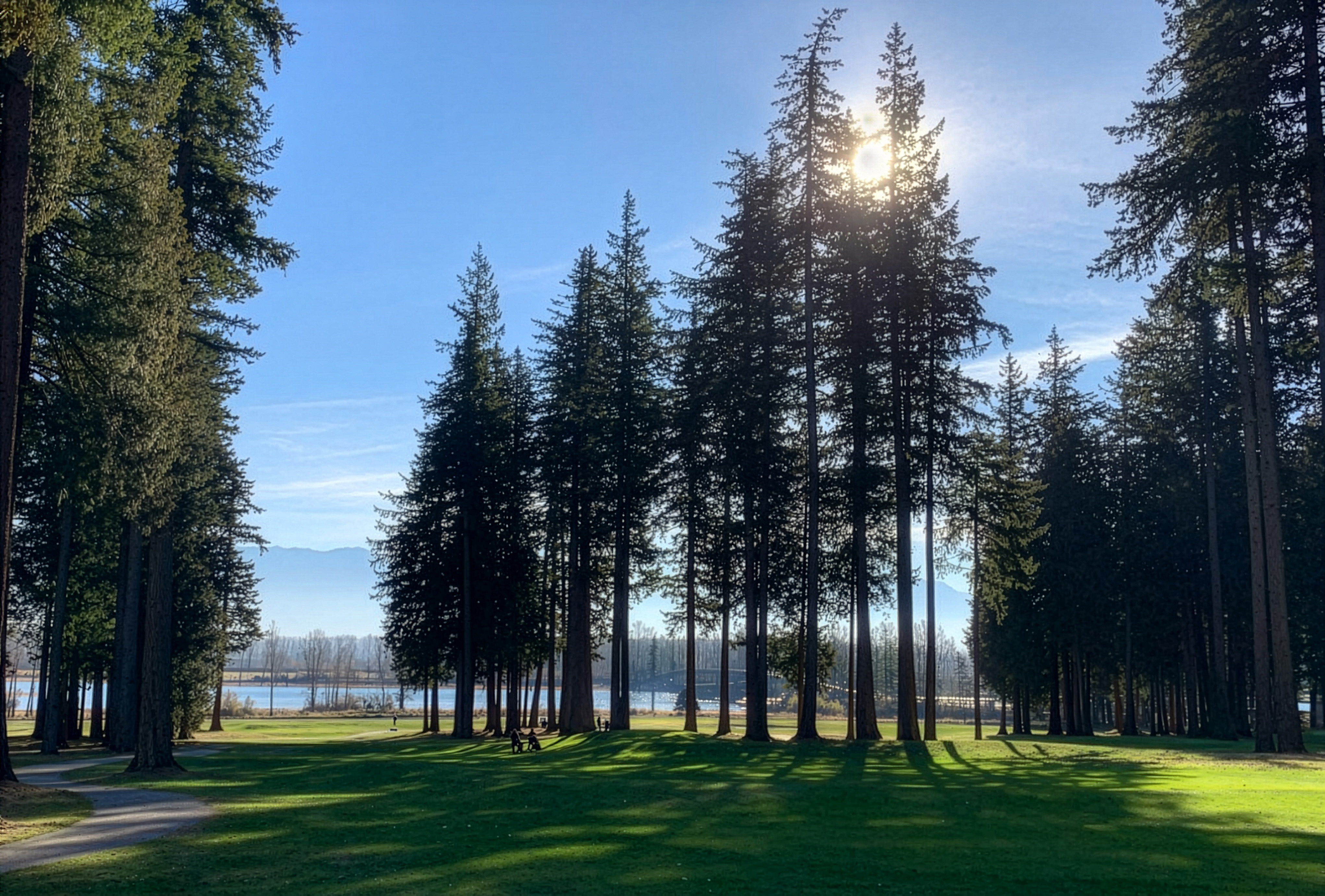 Aerial view of Sandpiper Golf Course fairway and coastal landscape, BC