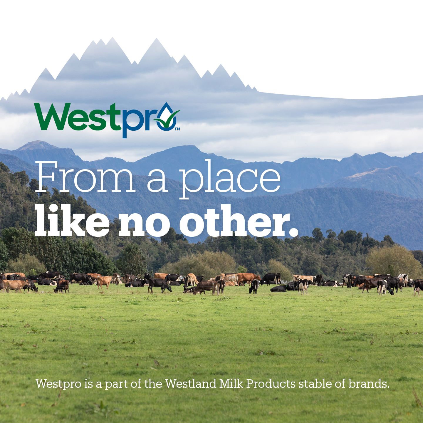 Westpro New Zealand Dairy Ingredients