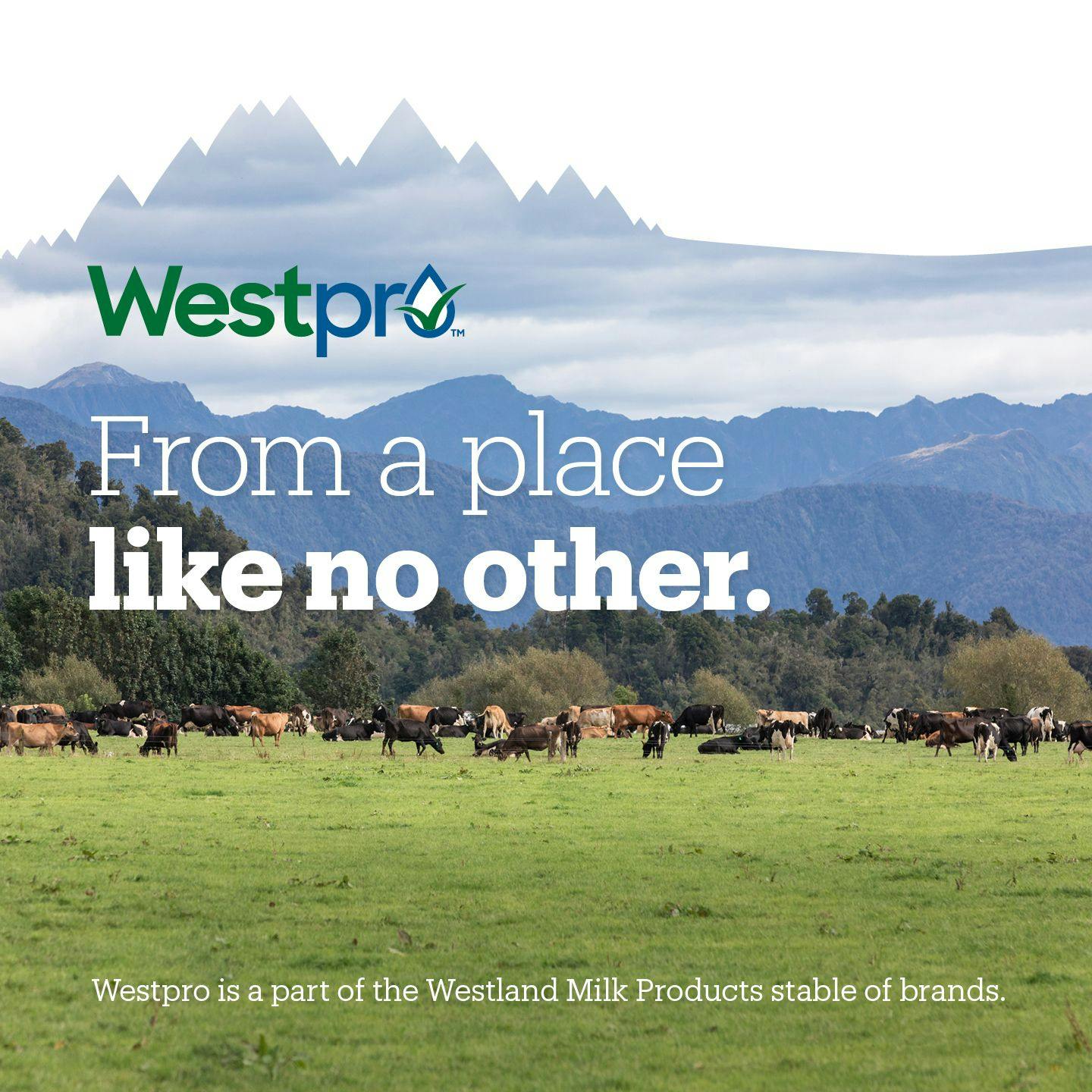 Westpro Dairy Ingredients