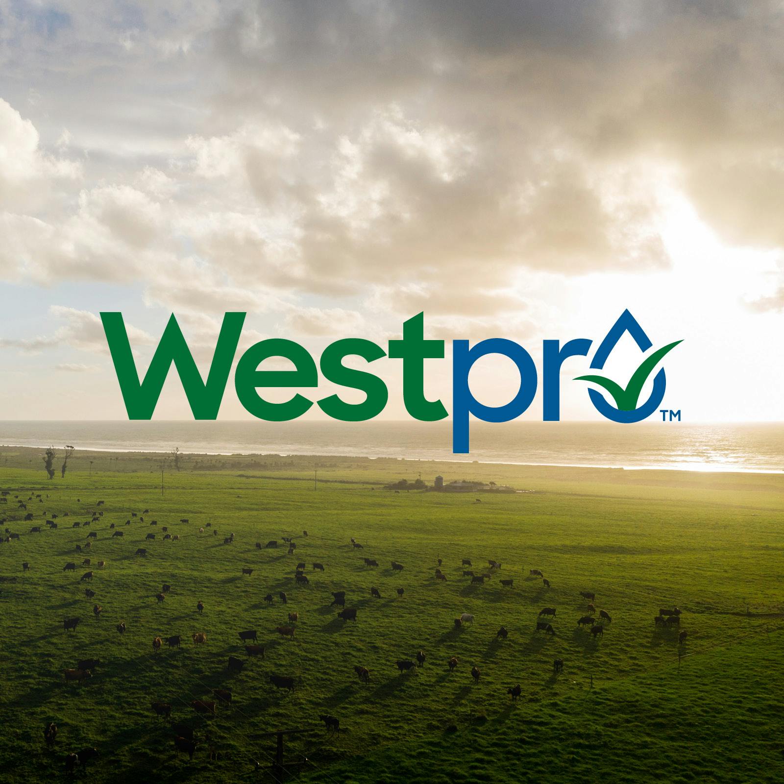Boost for Westpro’s dairy range