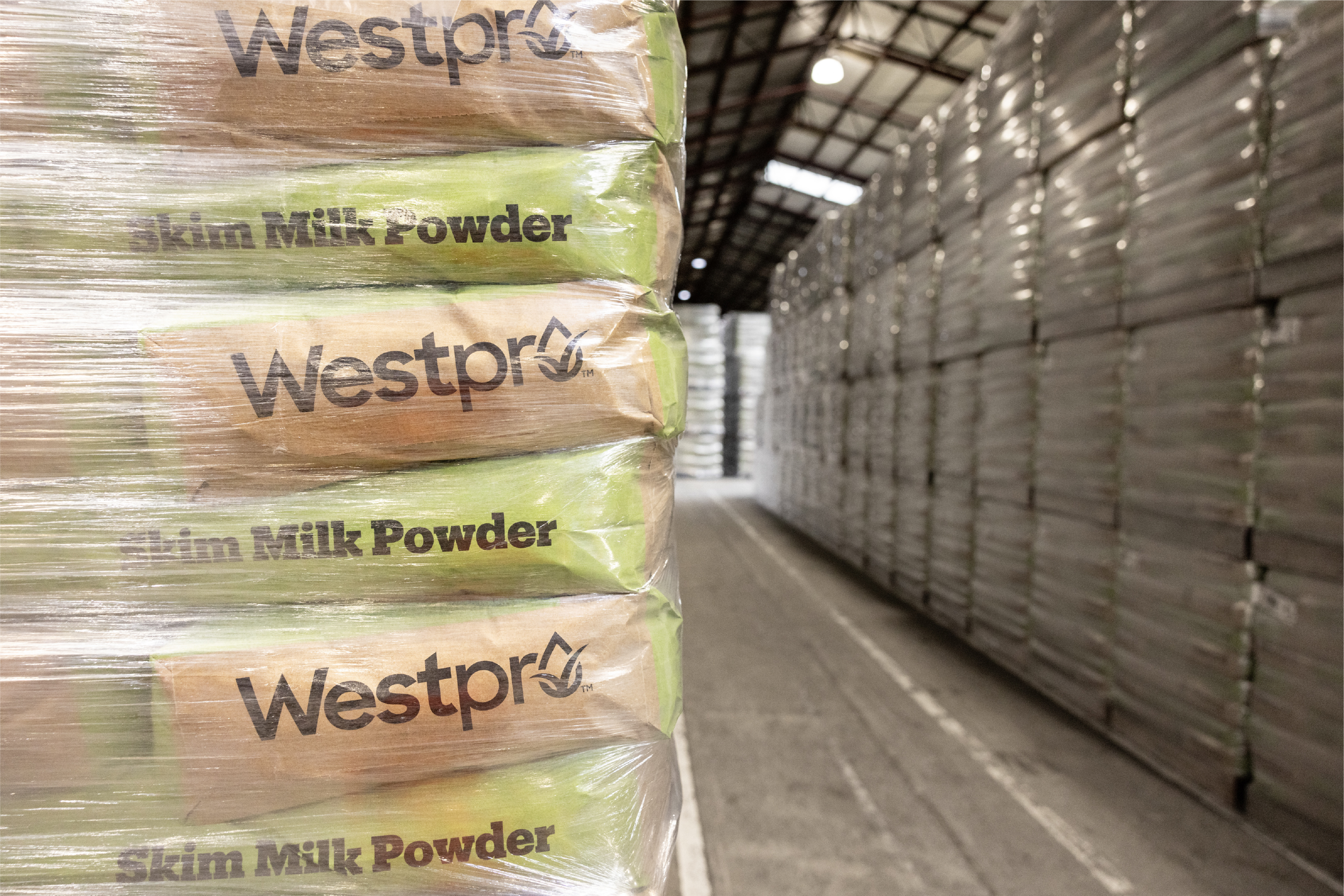 Westland increases sales on the back of increased milk supply and strong product demand