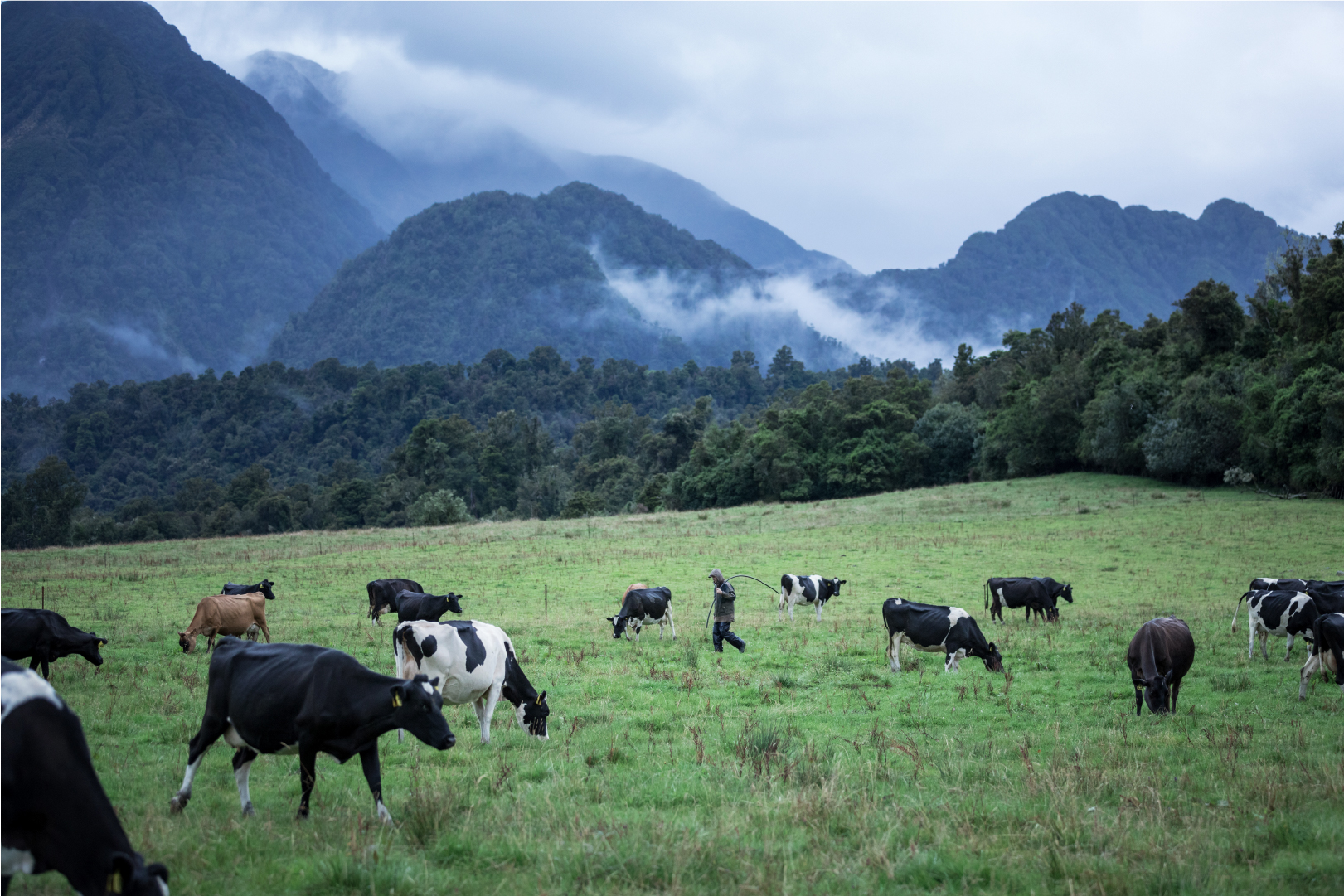 Why is New Zealand’s West Coast so wet? A closer look at our home’s wild weather. 