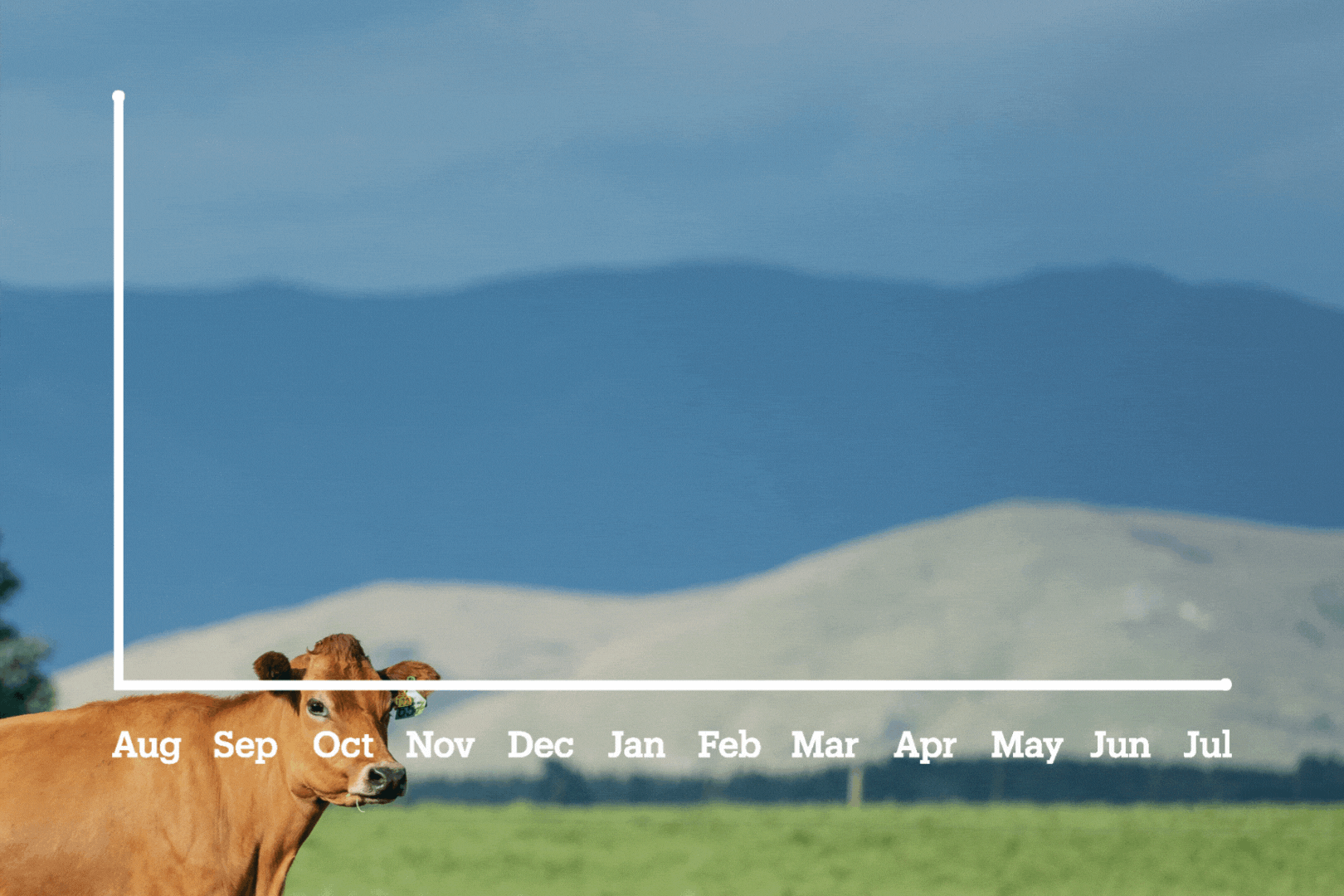 curve on graph and cow