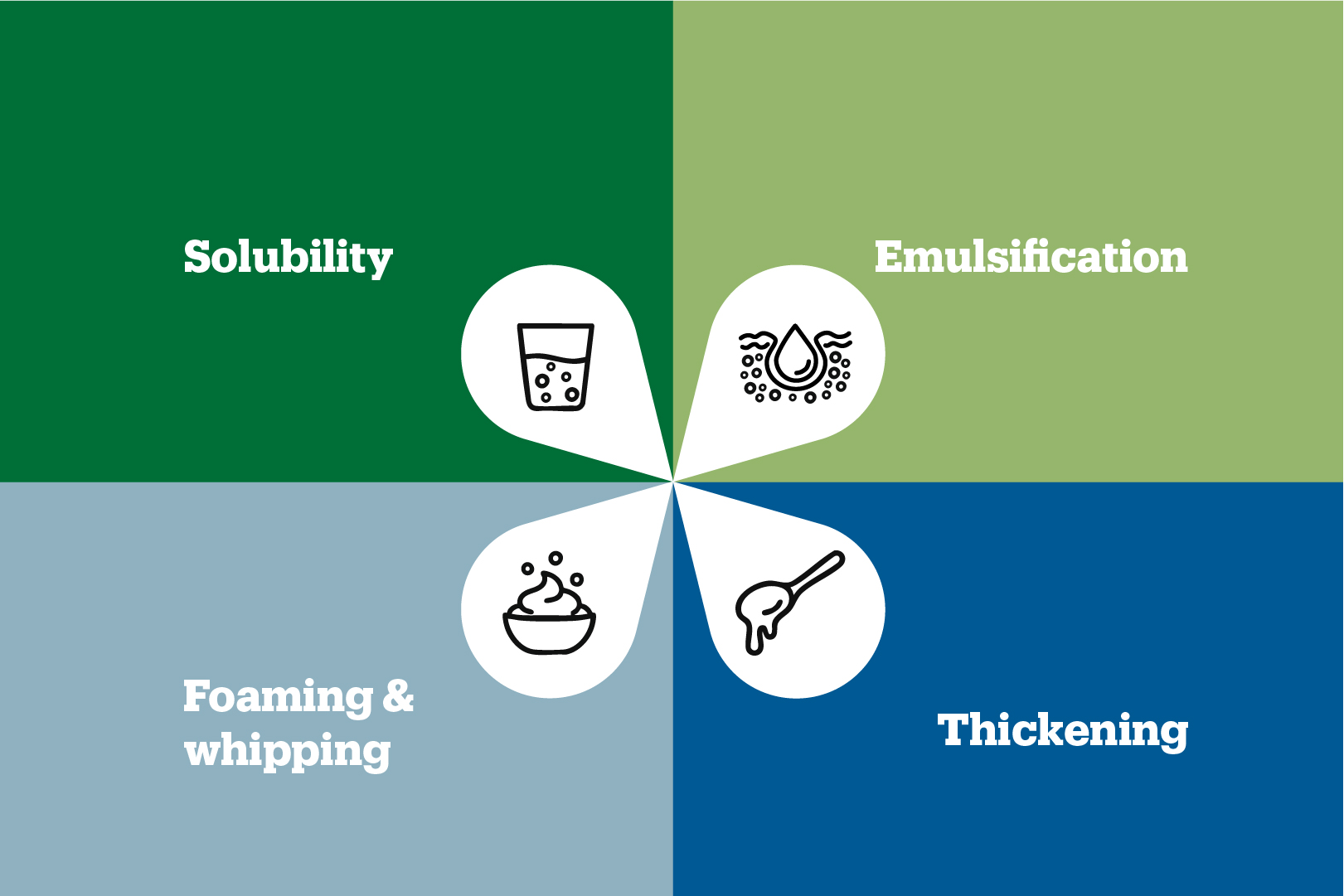 Westpro premium sodium caseinate for functional foods 