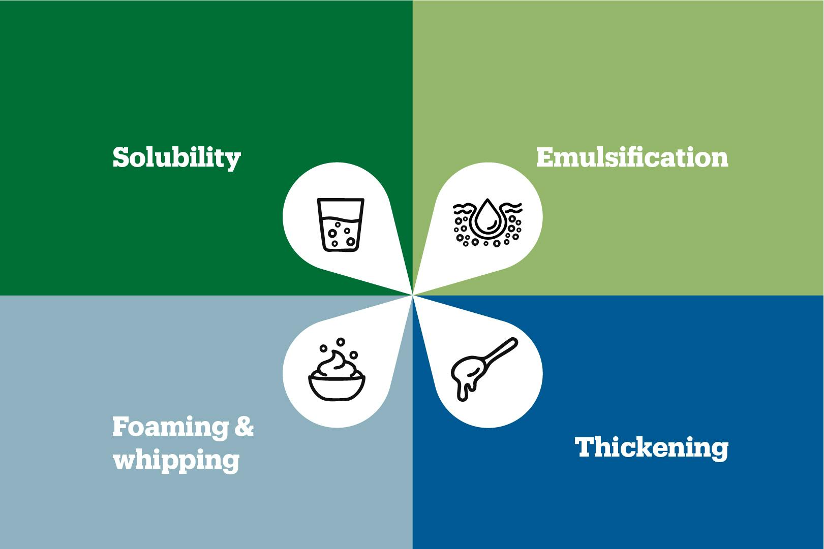 Benefits of Westpro SoluNateTM for functional foods