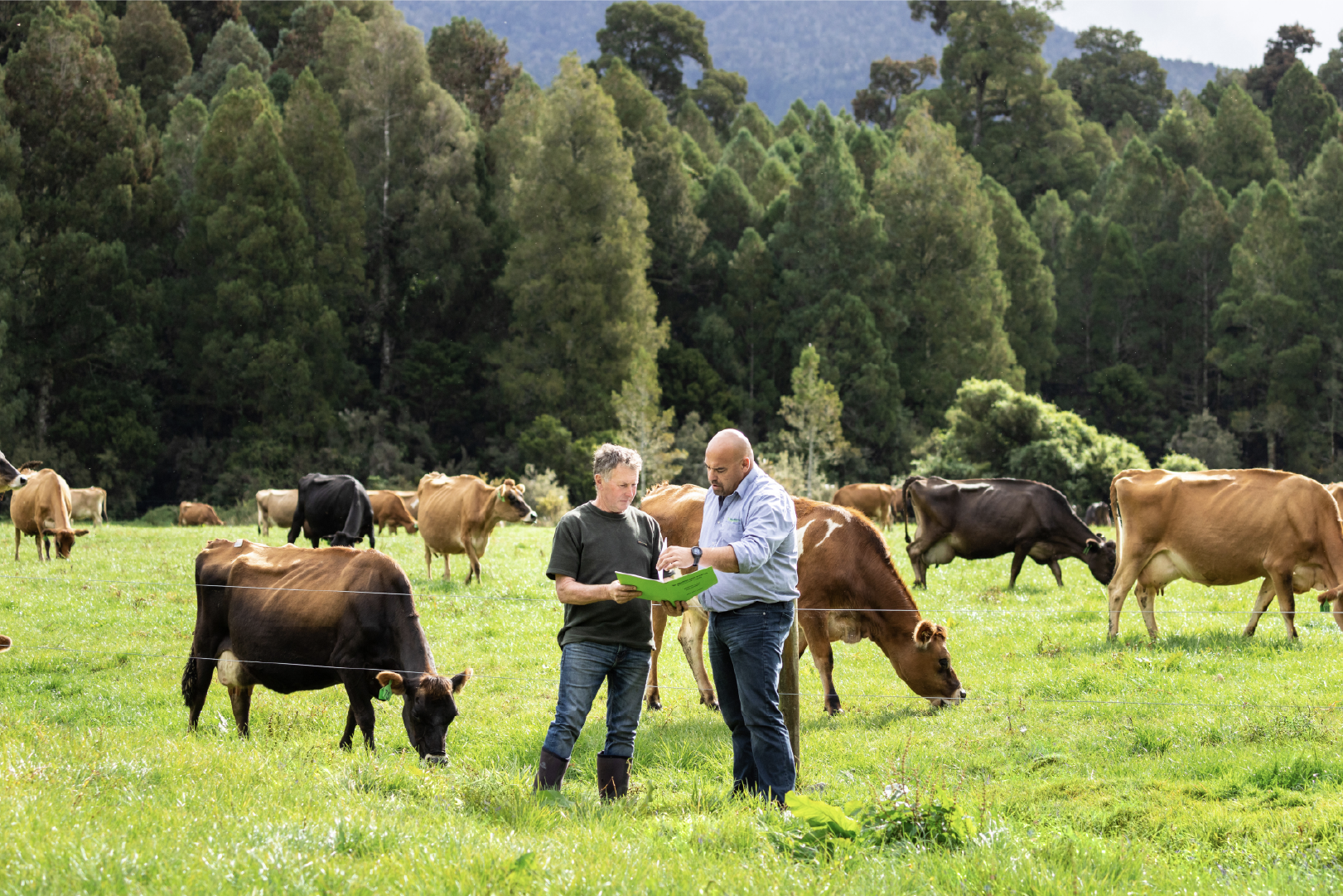 Westland backs farmer-led insights and planning initiatives