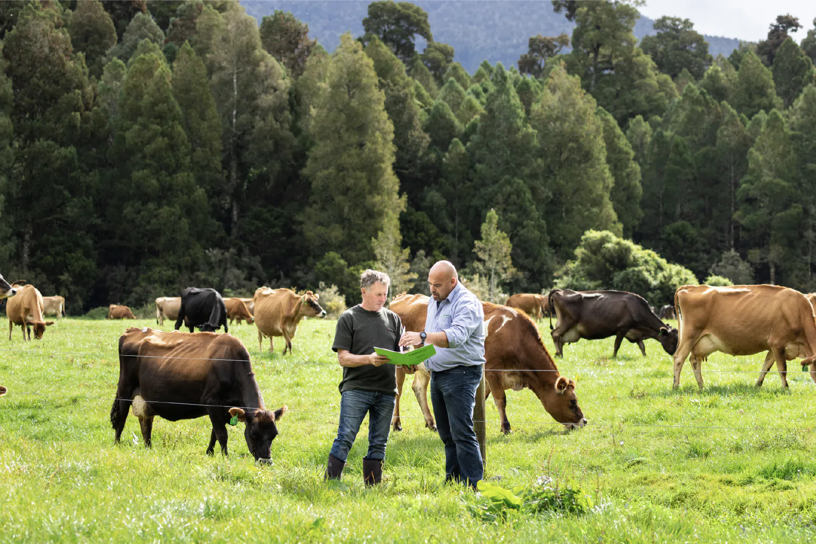 Westland backs farmer-led insights and planning initiatives