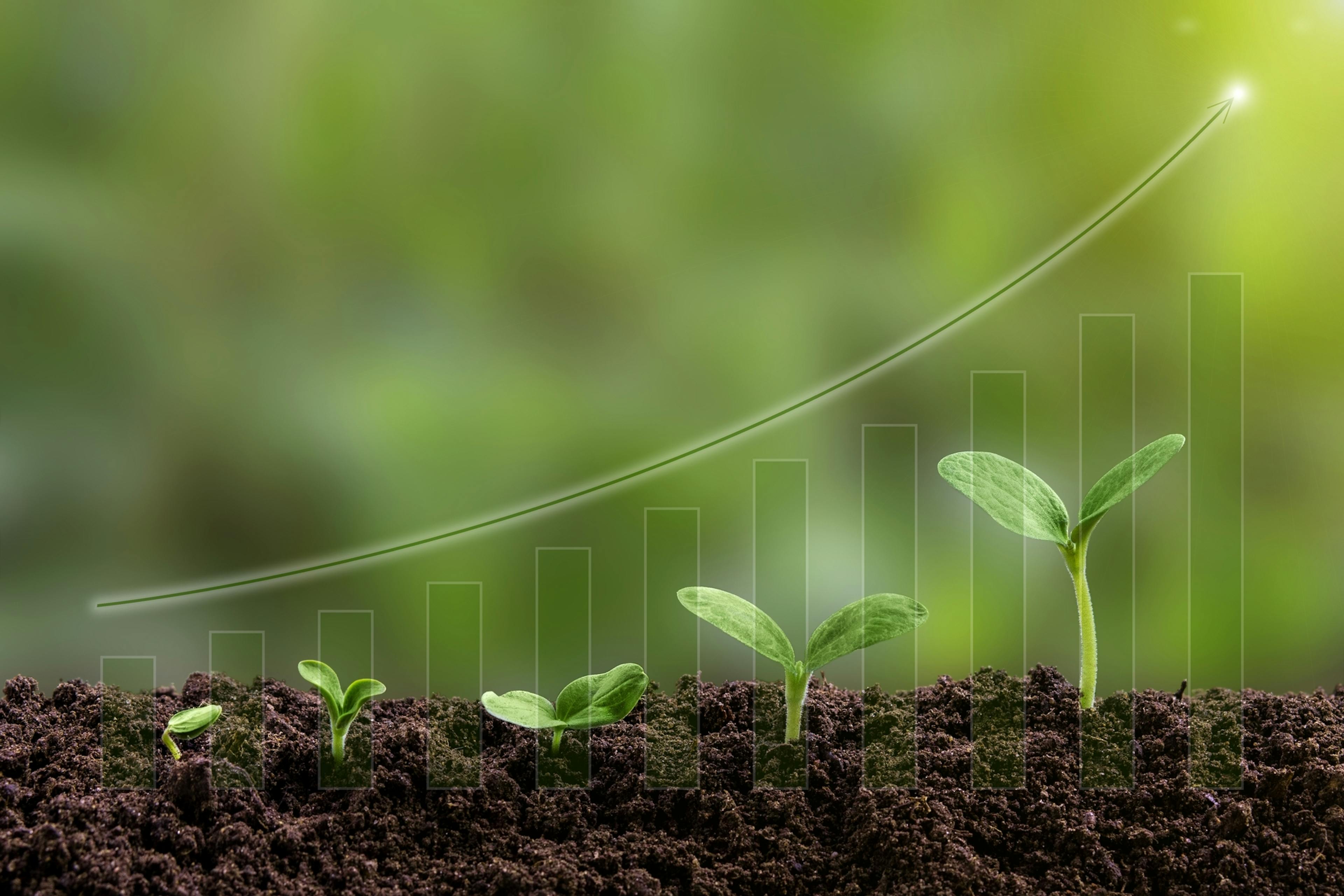 El fenómeno de la niña