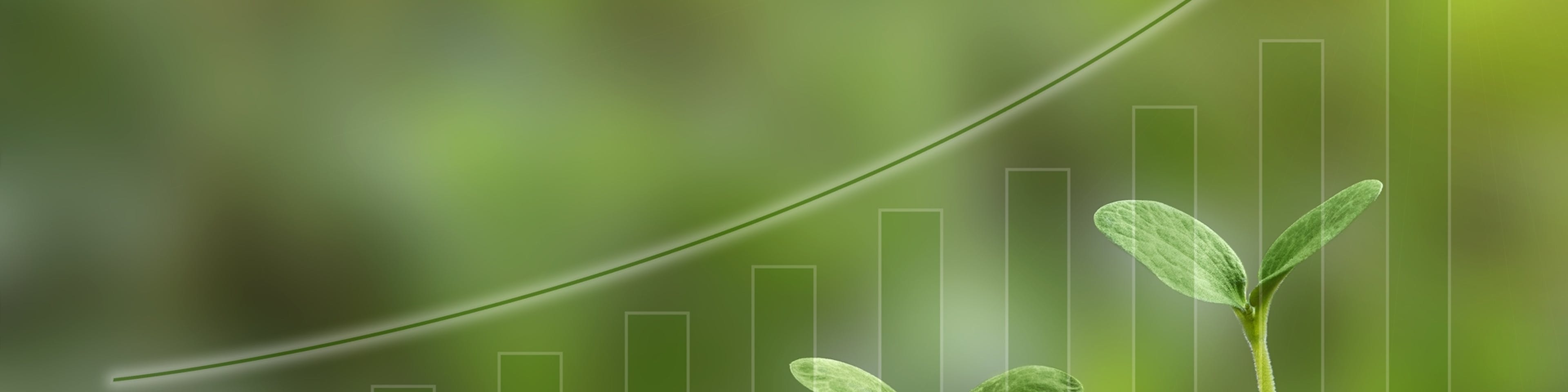 El fenómeno de la niña