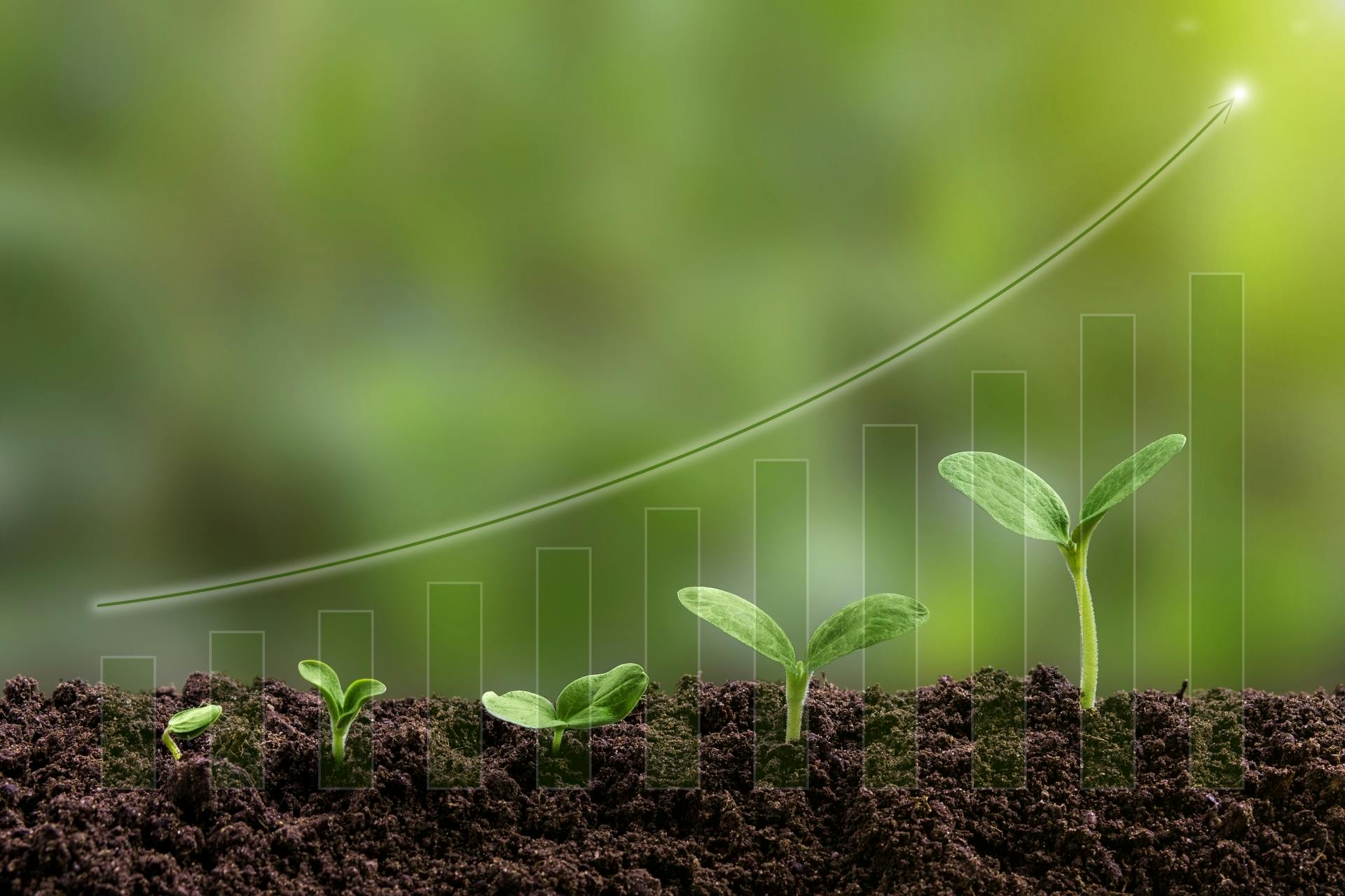 El fenómeno de la niña