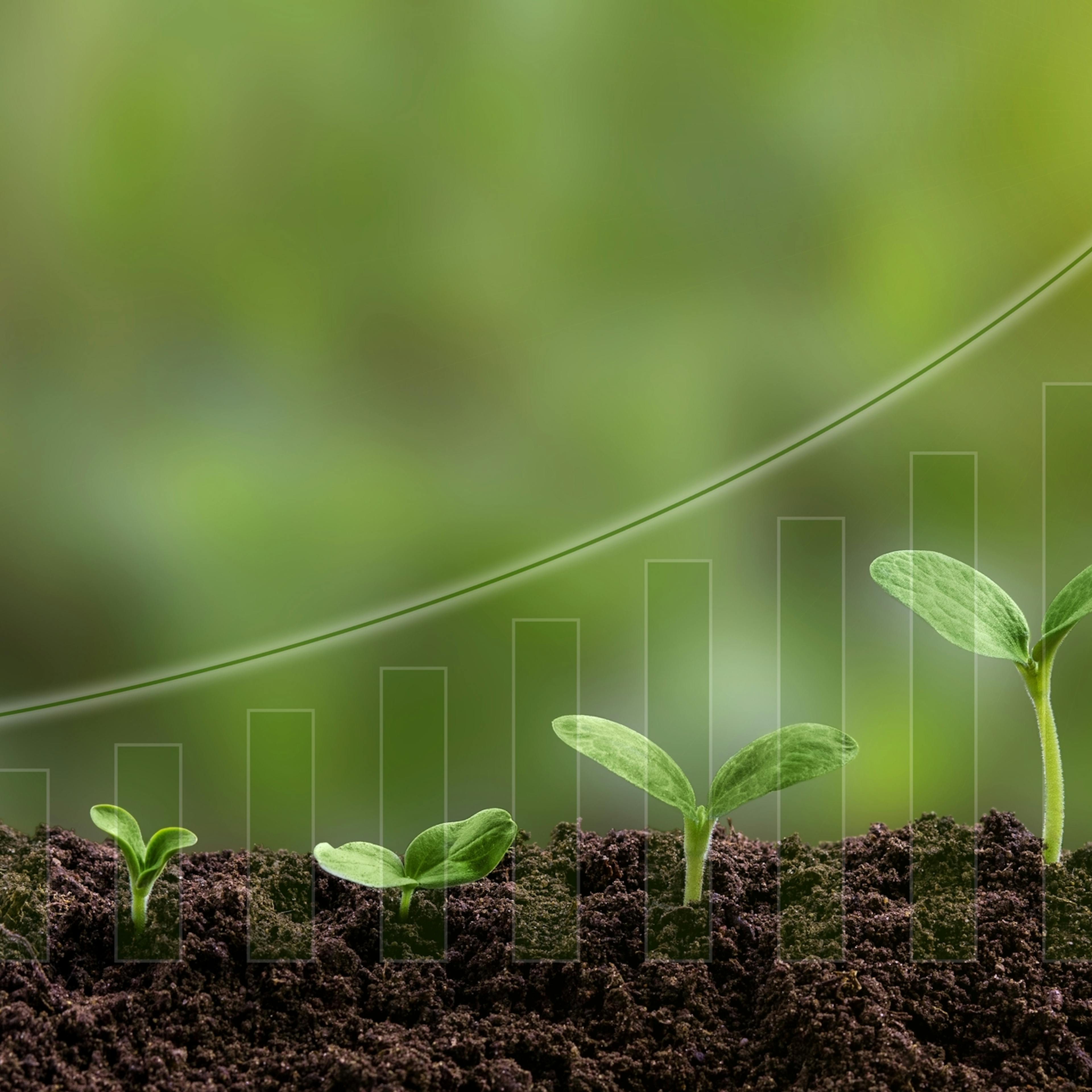 El fenómeno de la niña