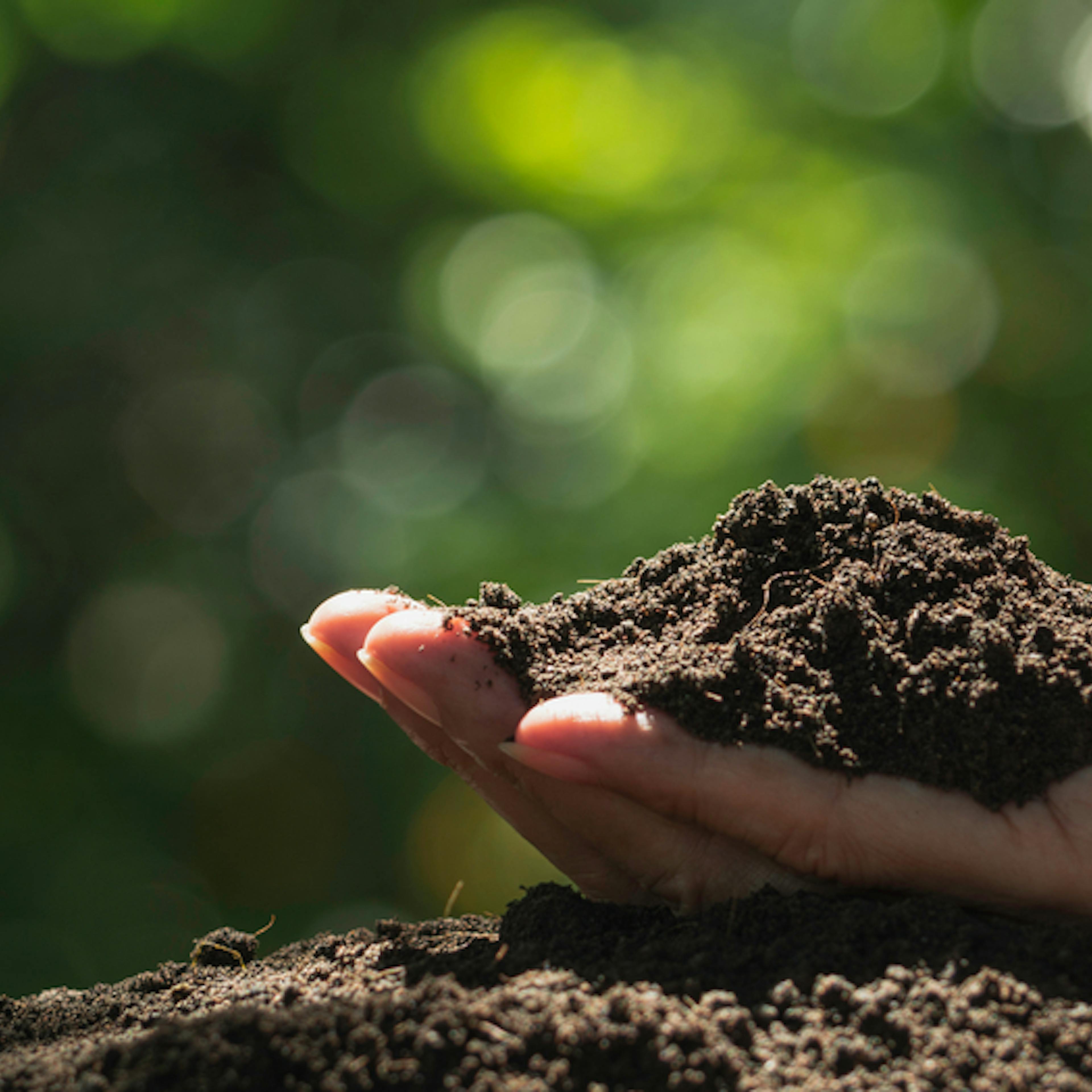 Desinfección de Suelos