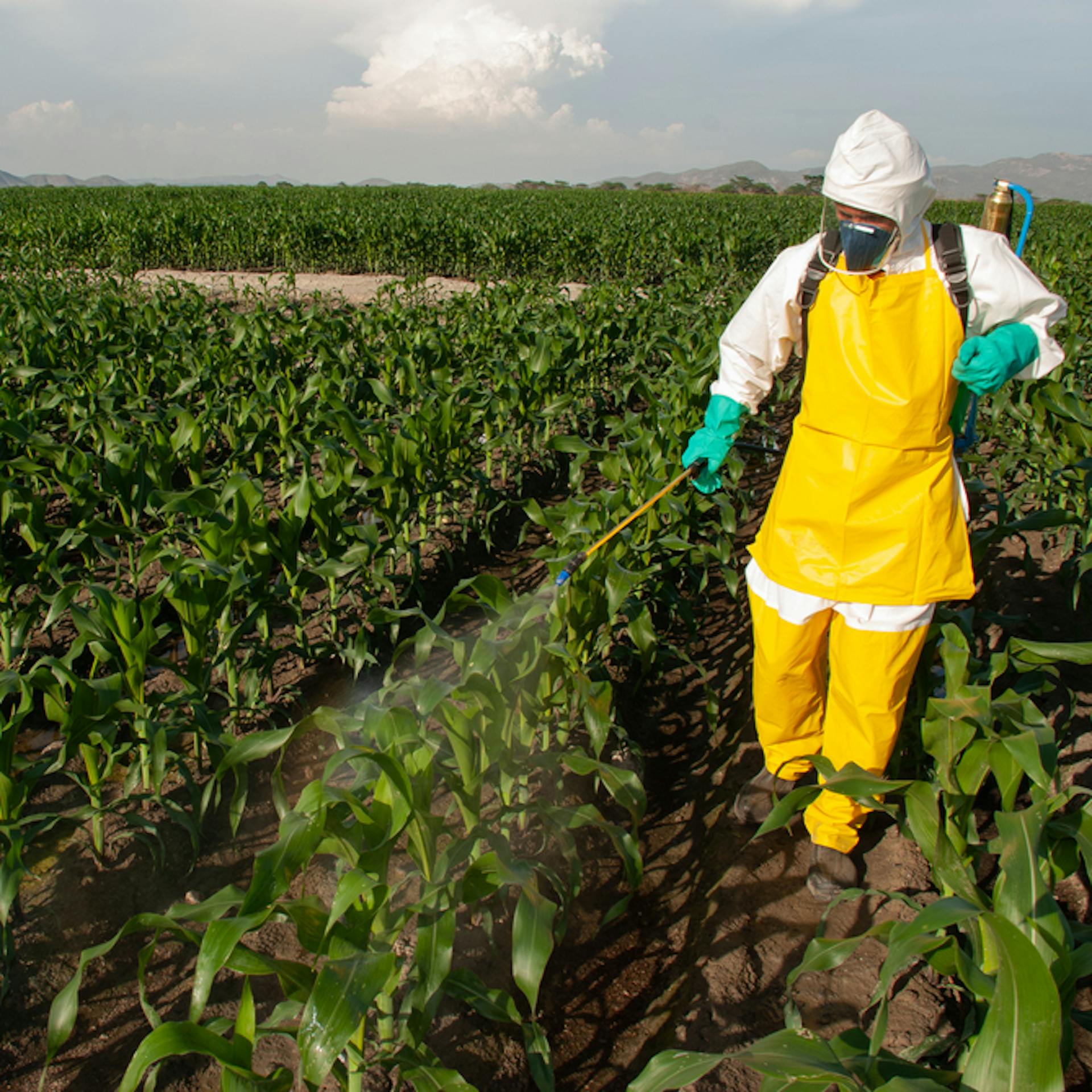 ¿Cuándo se deben usar?