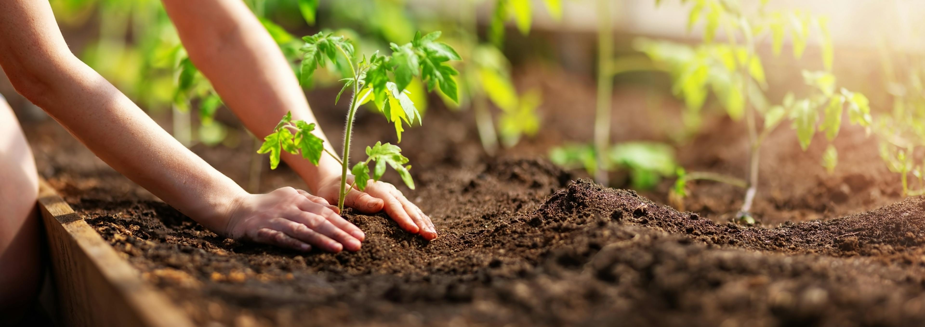  Control de hongos y bacterias