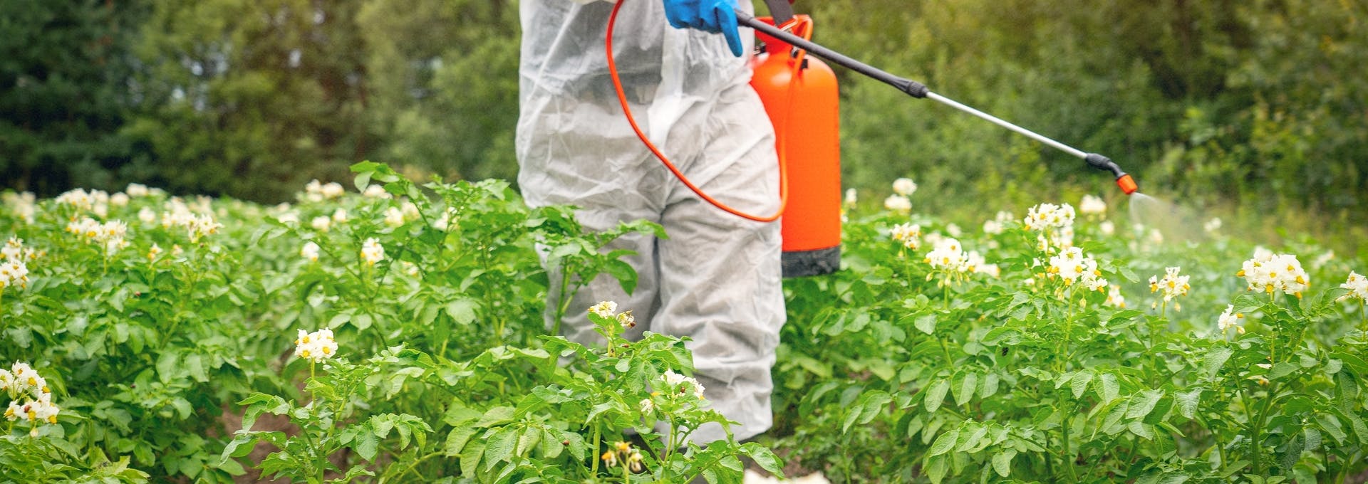 Control de Insectos y Ácaros