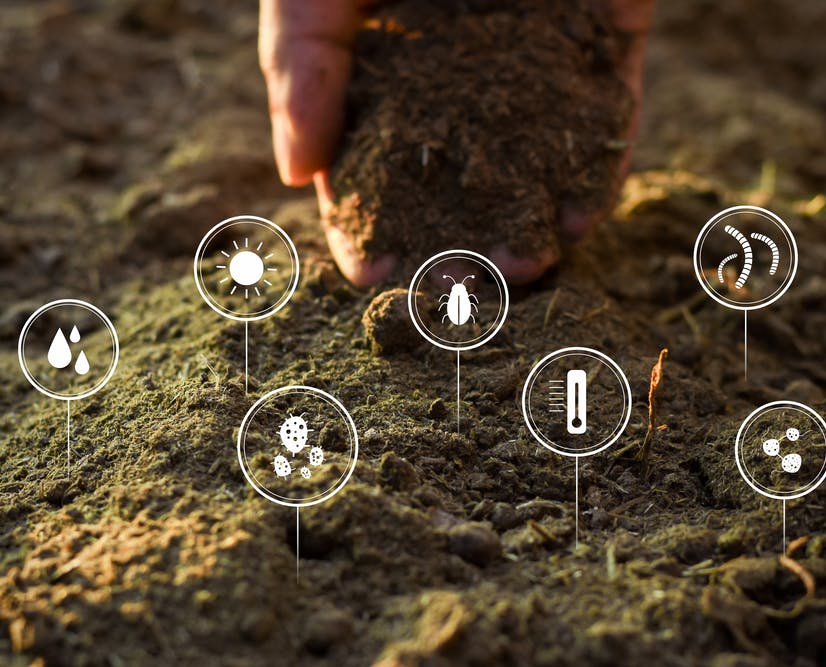 ¿Qué es la desinfección de suelos?