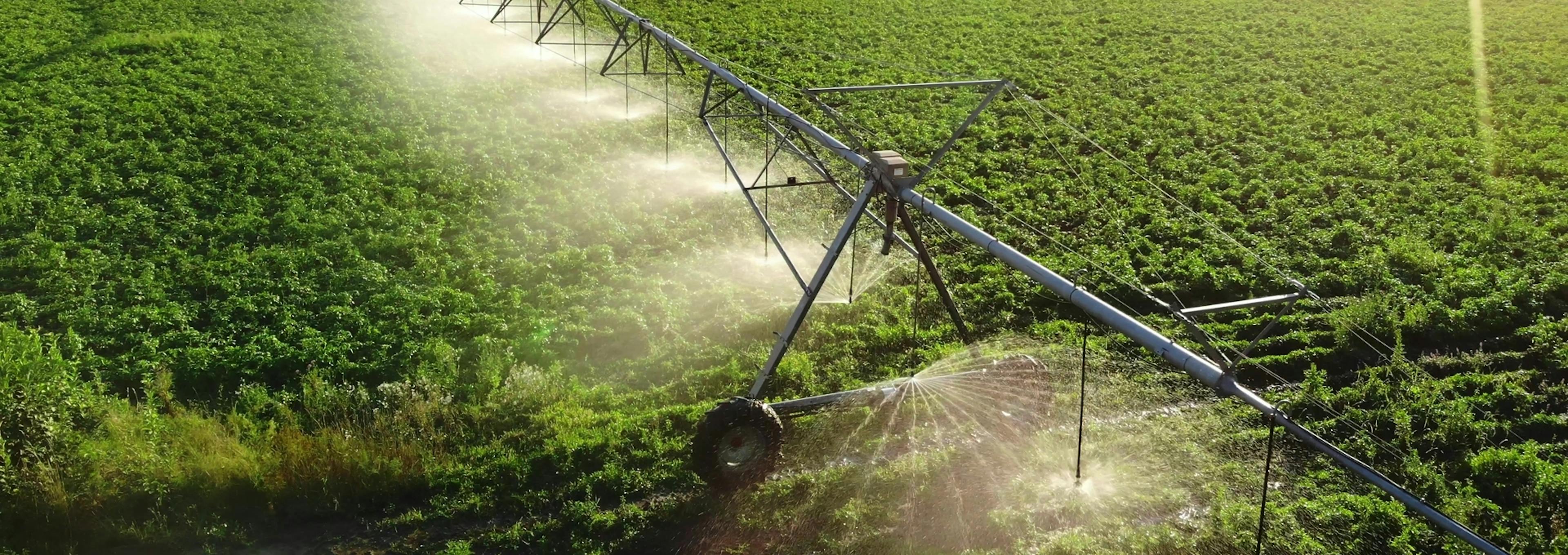 Humectantes de Suelo