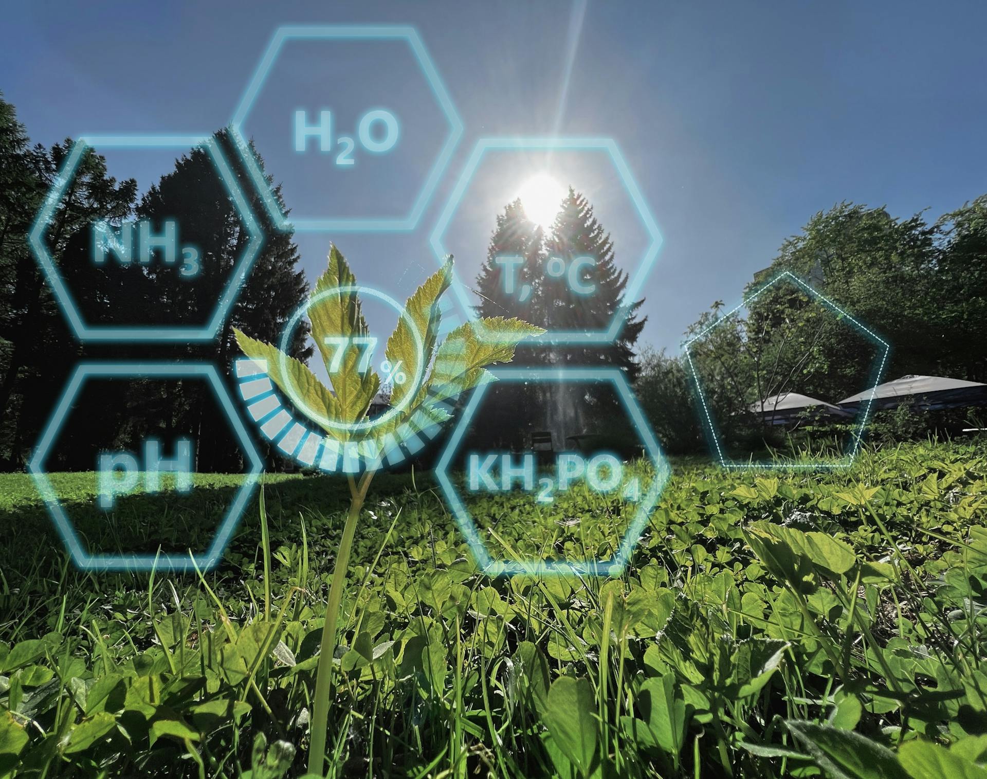 Beneficios de usar Penetrantes en las plantas