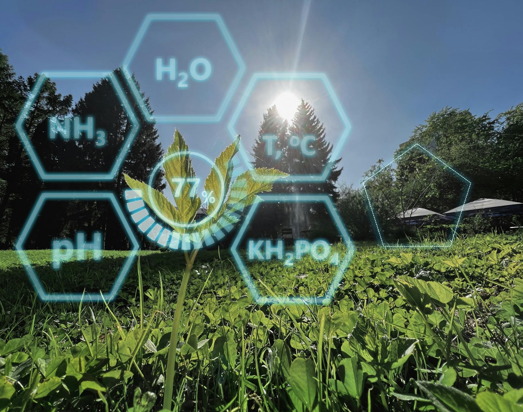 Beneficios de usar Penetrantes en las plantas