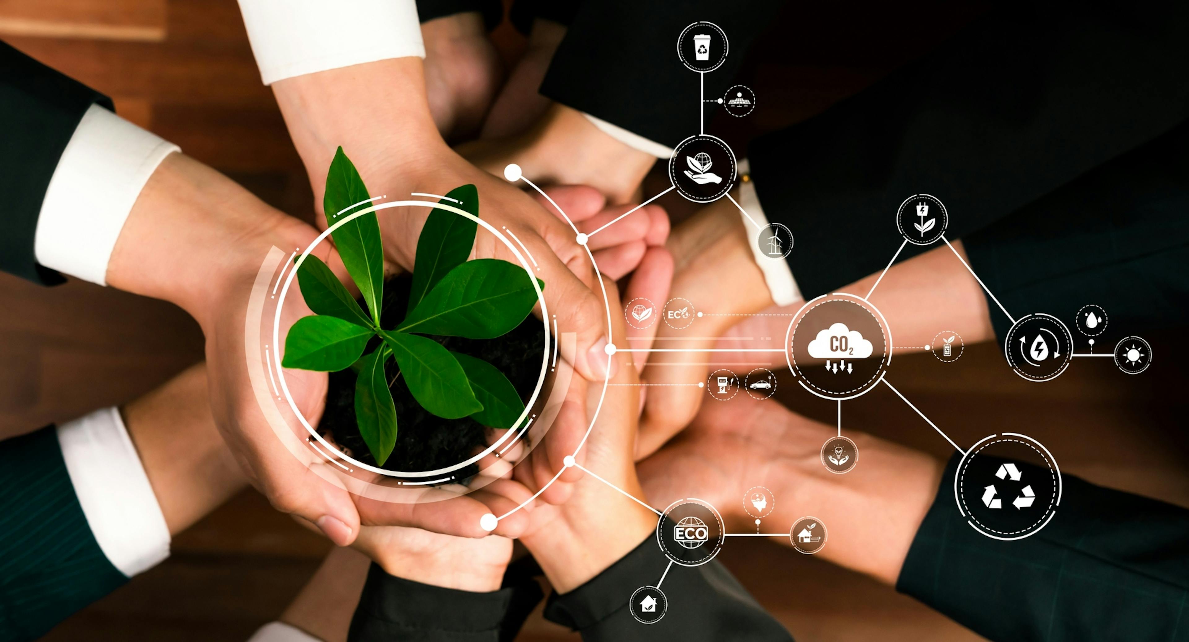 Que es la sostenibilidad empresarial