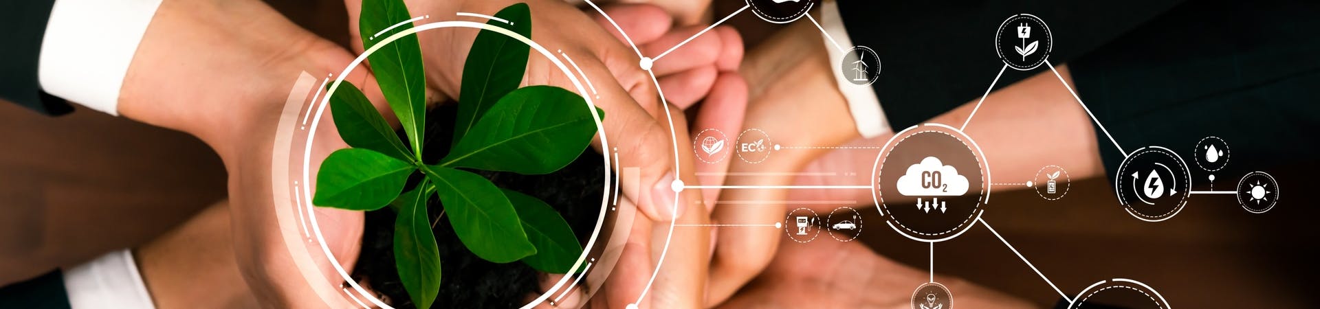 Que es la sostenibilidad empresarial