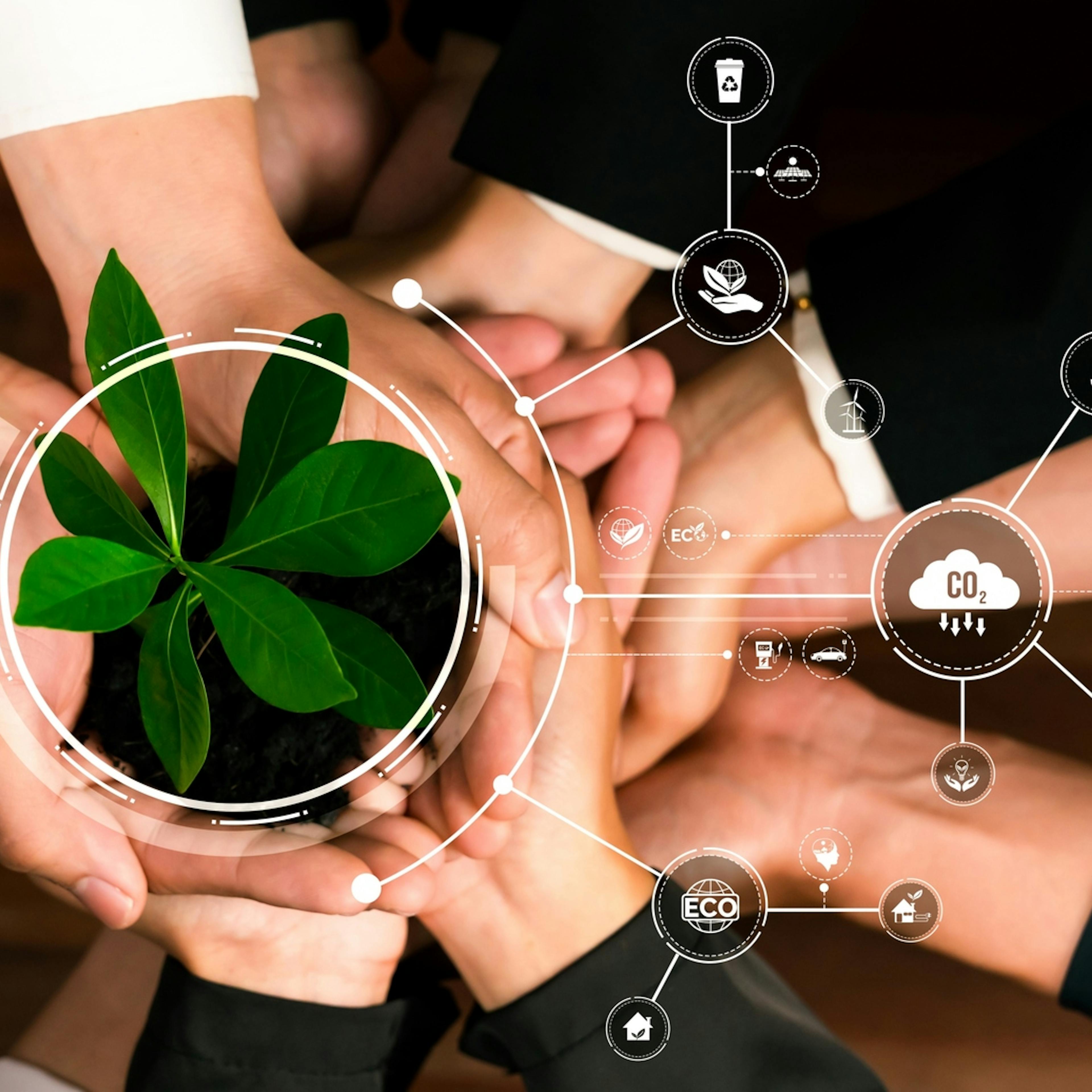 Que es la sostenibilidad empresarial