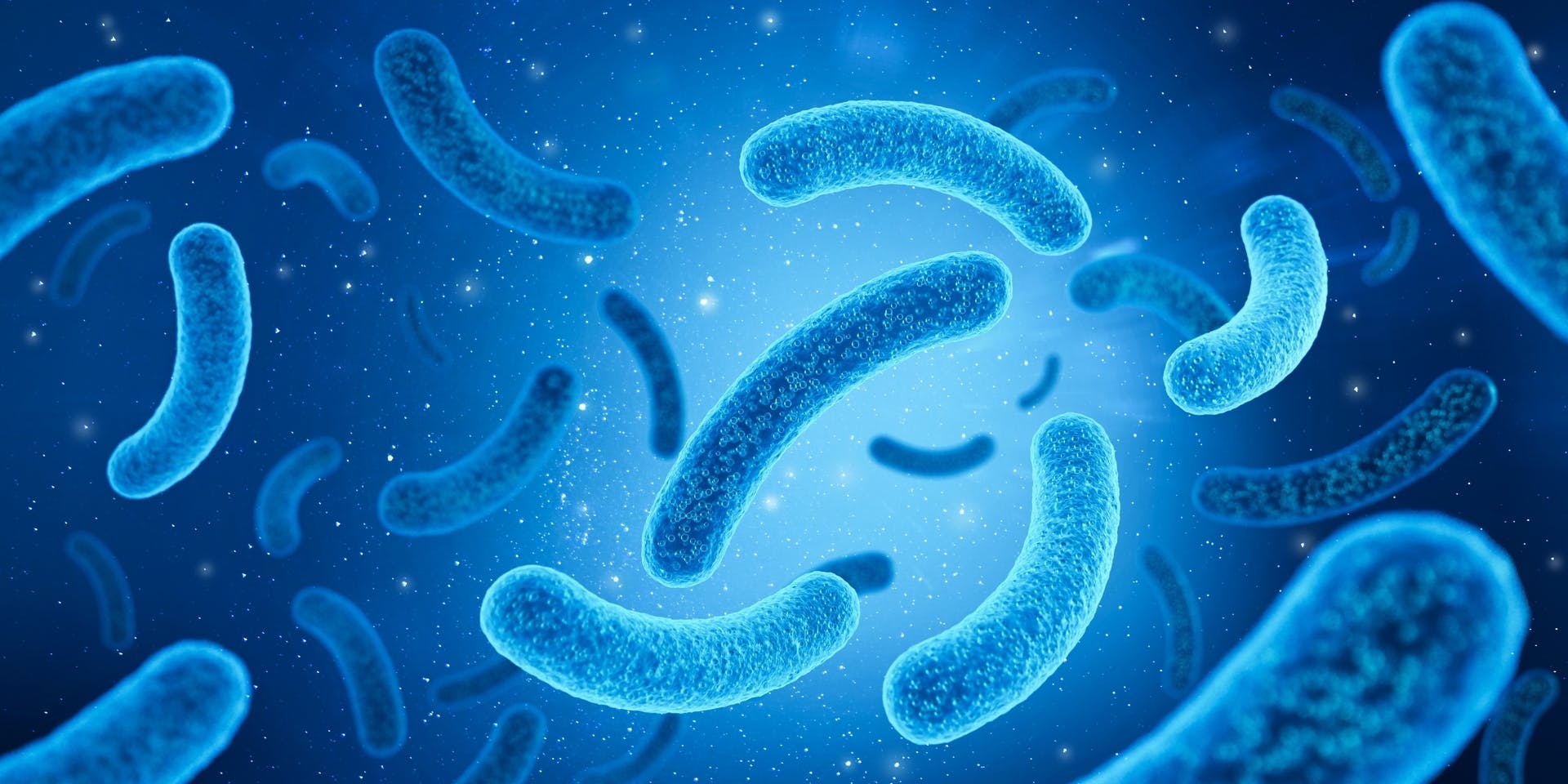 ¿Cómo operar la Luz UV?