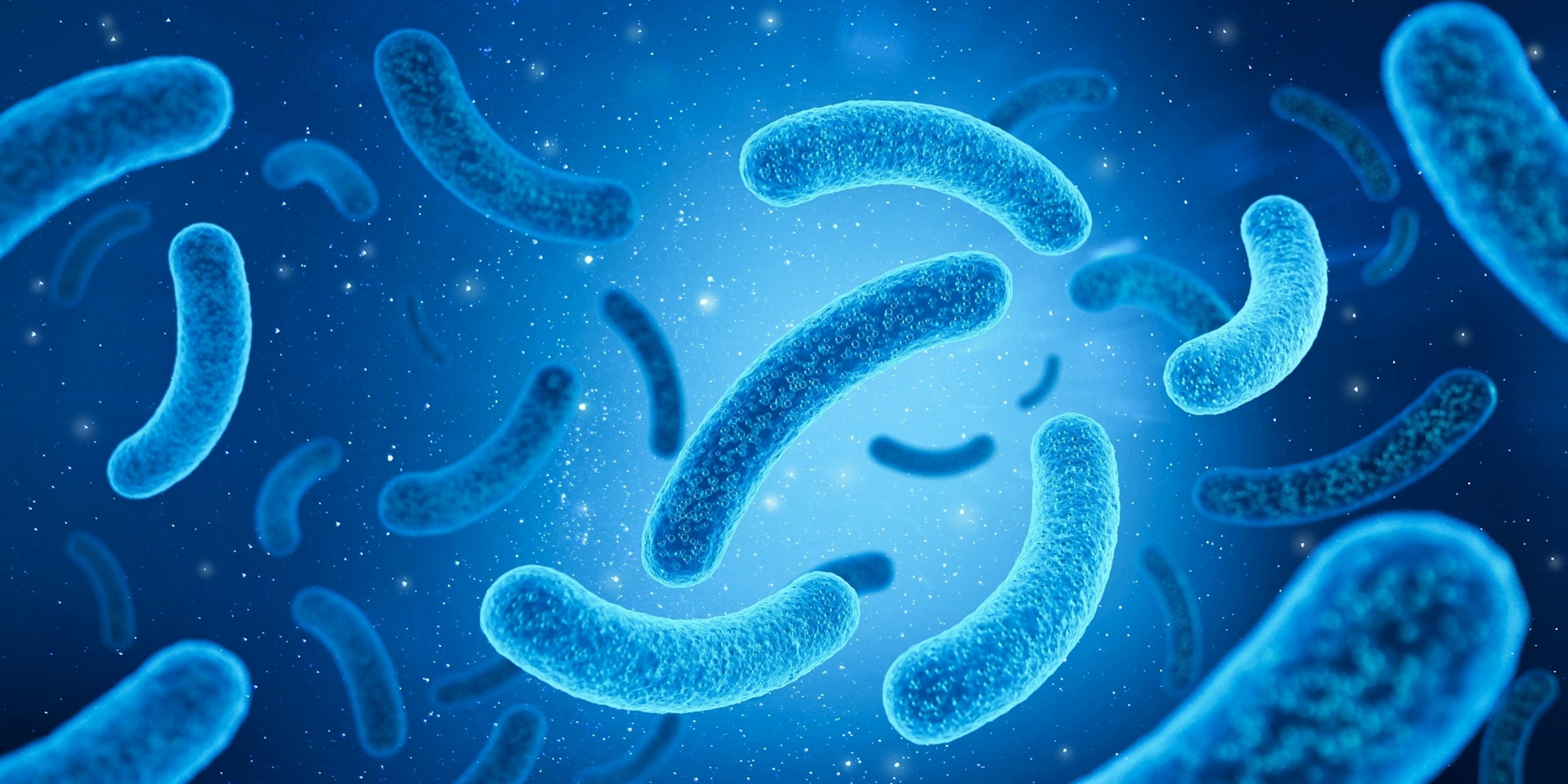 ¿Cómo operar la Luz UV?