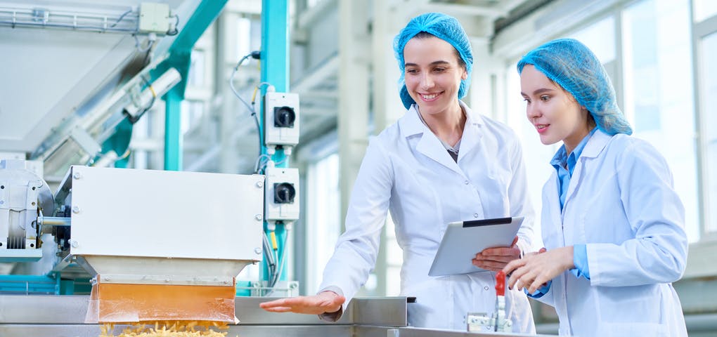 Sector Inocuidad Alimentaria & Institucional