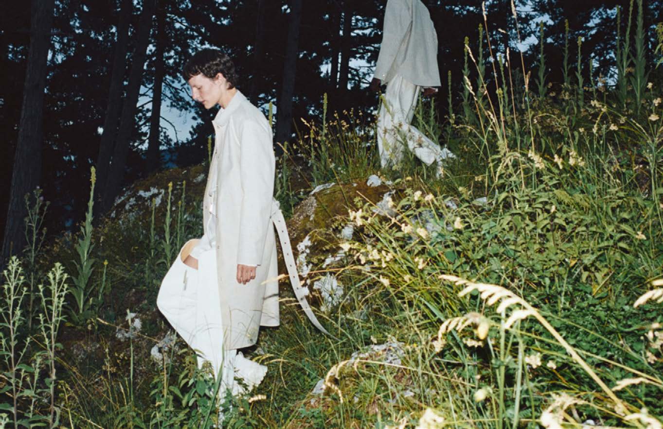 Under The Cover Of Trees