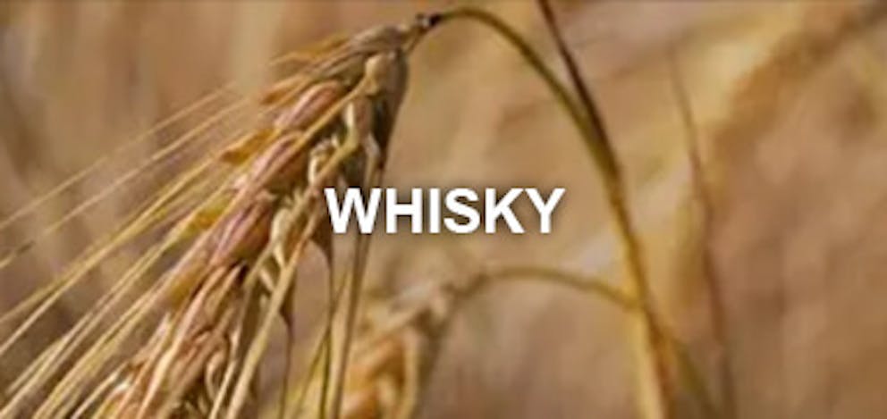 Guide to Whisky