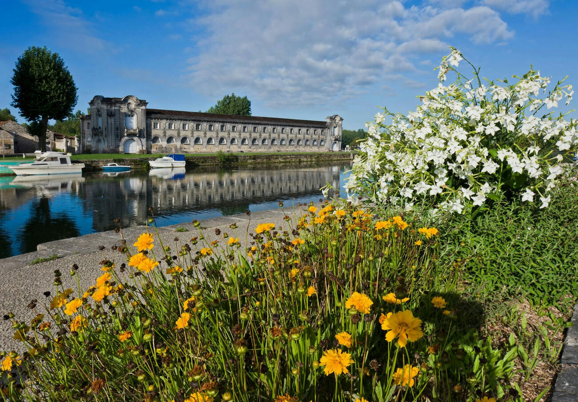 banniere maison cognac