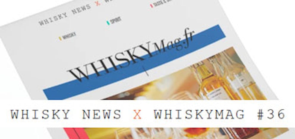 Newsletter Whisky Mag