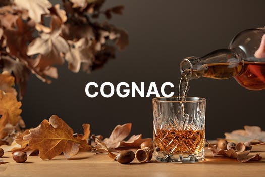 Banniere categorie blog cognac