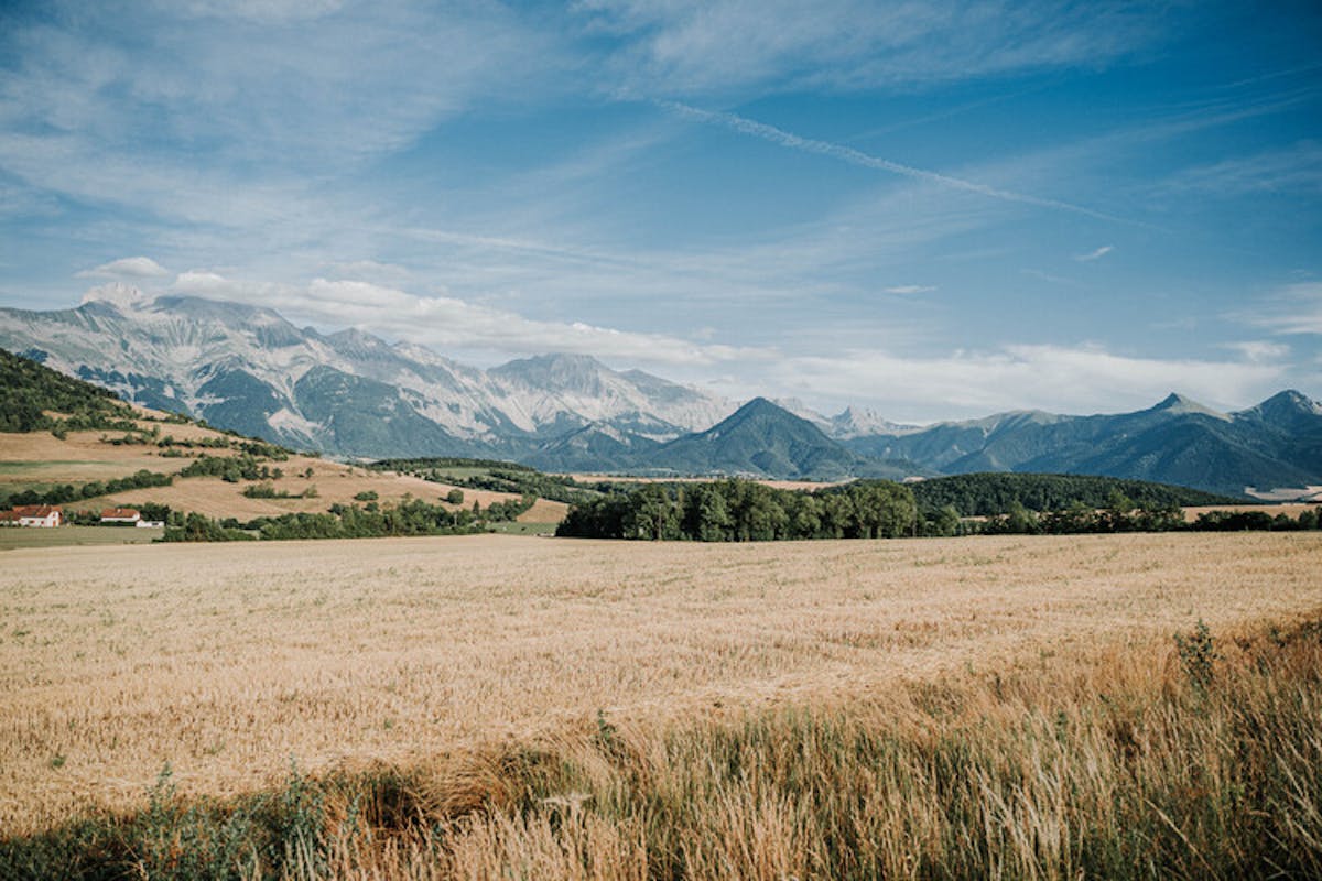 Bannière article distilleries fr