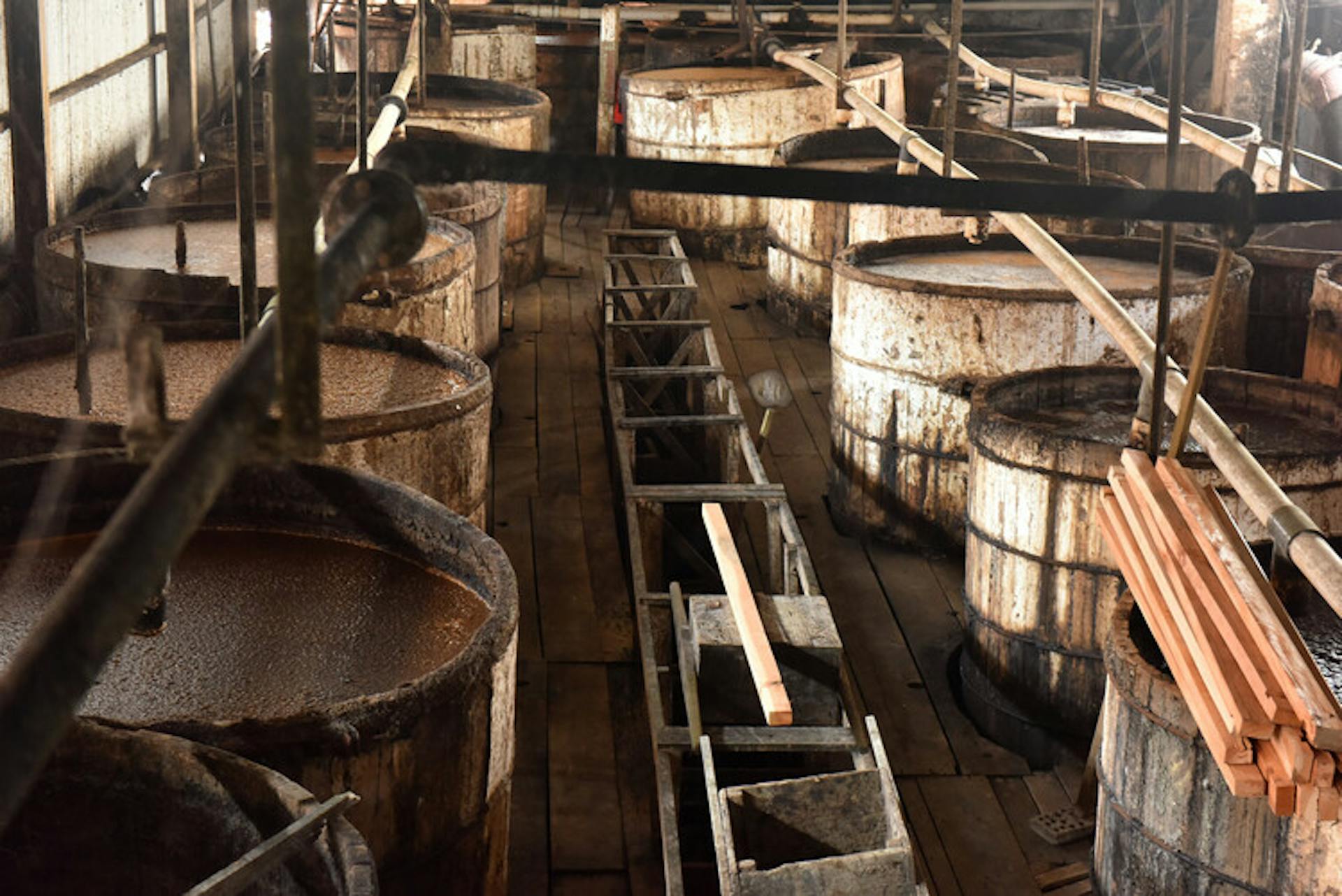 Cuves dans lesquelles fermente la mélasse dans la distillerie Hampden, en Jamaïque