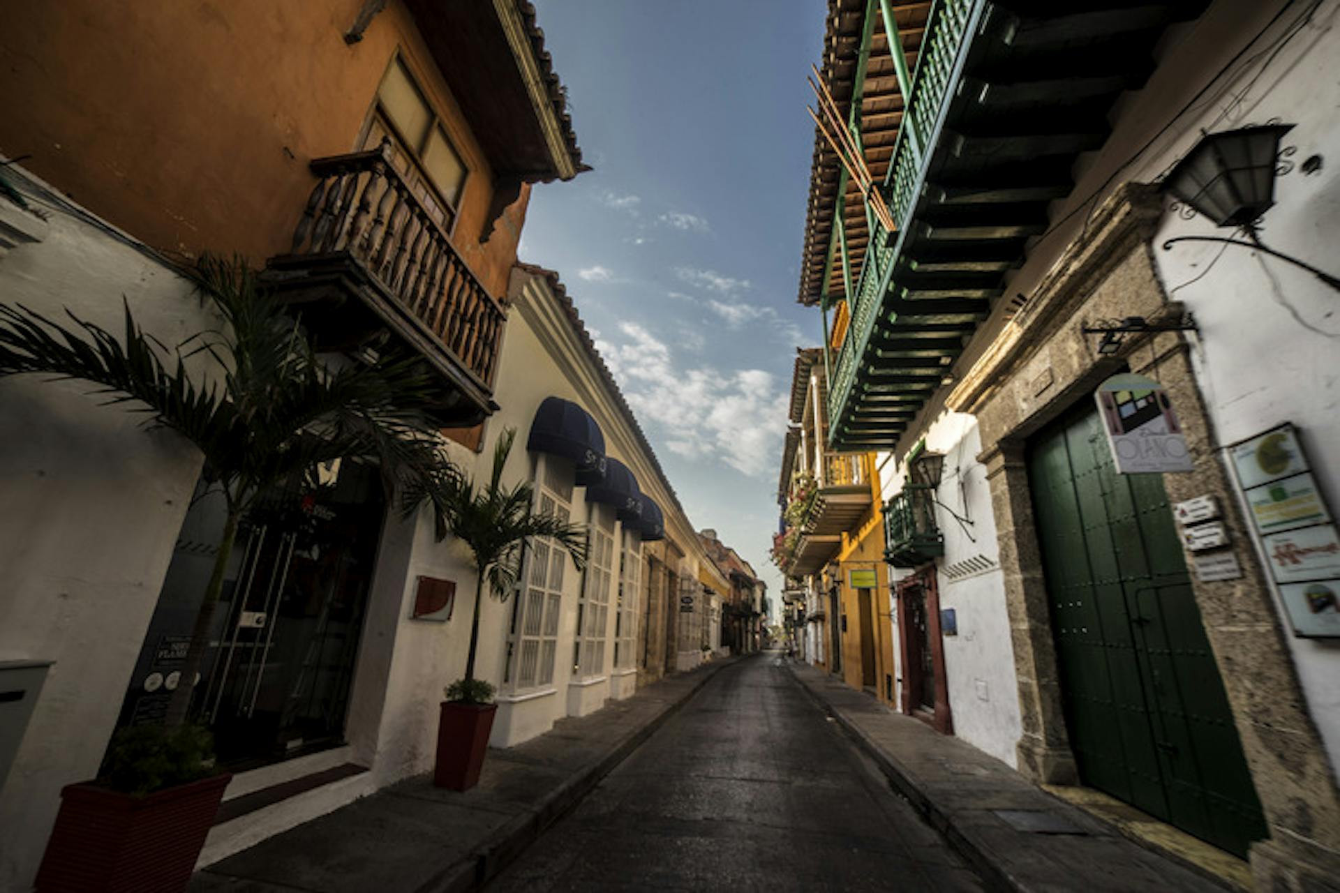 Rue de la distillerie Dictador