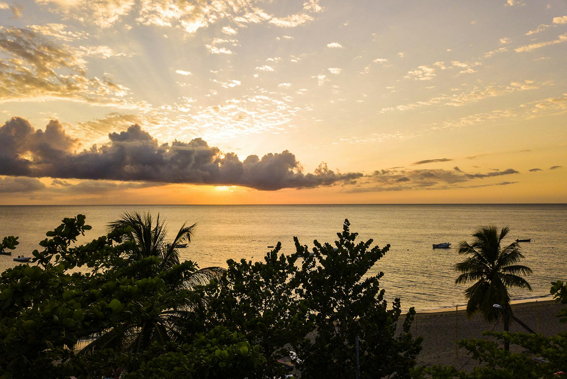 Paysage Martinique