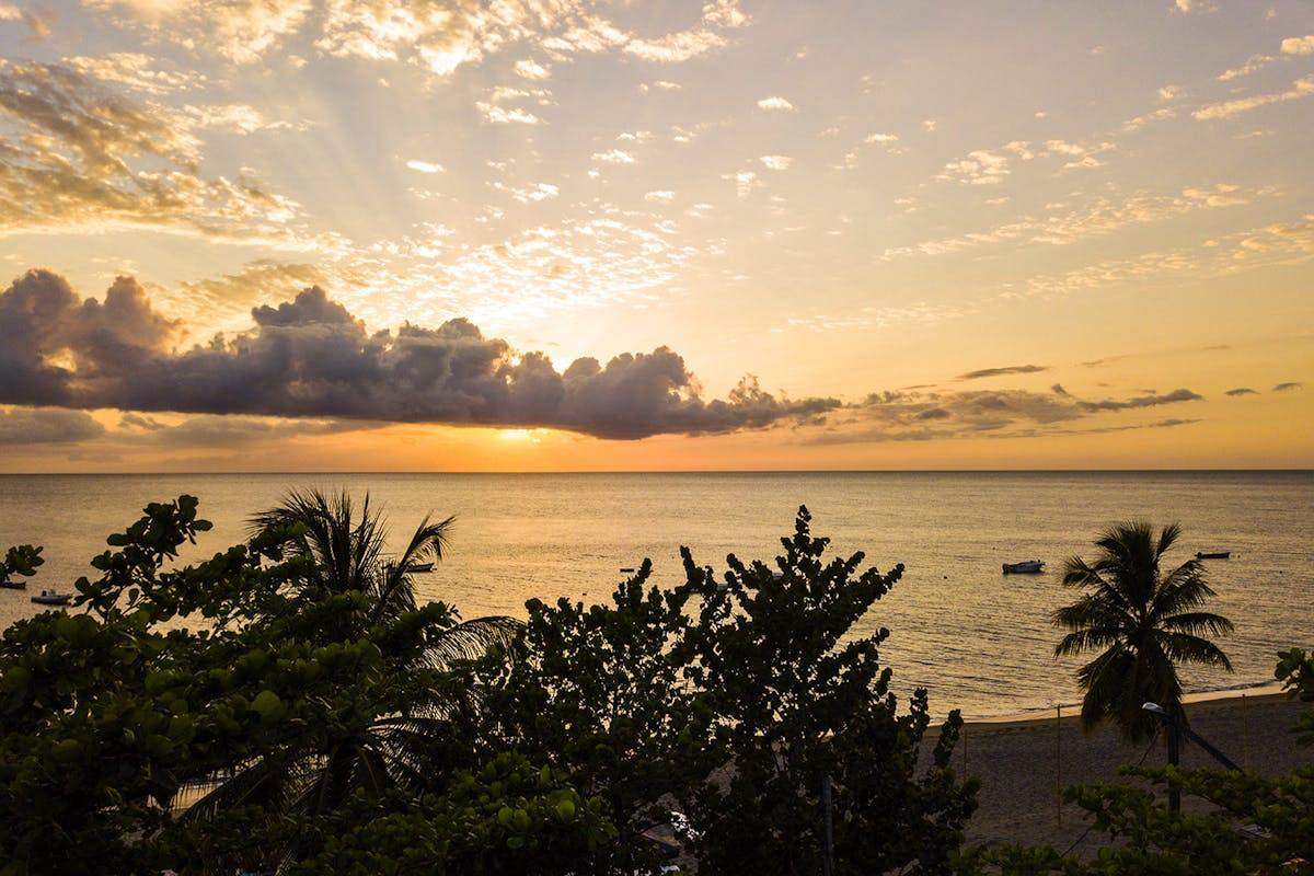 Paysage Martinique