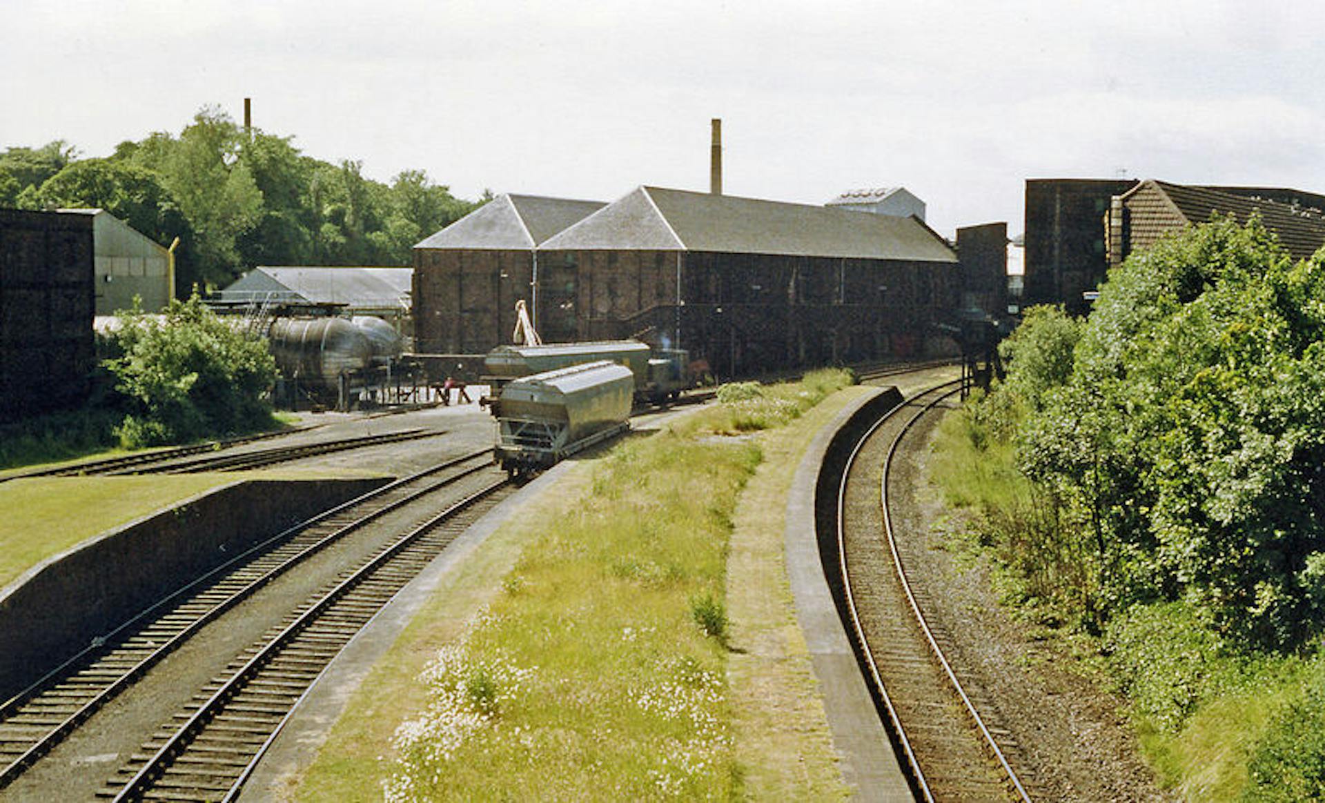 Photo distillerie Cameronbridge