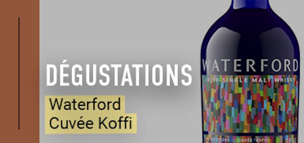 Waterford Koffi